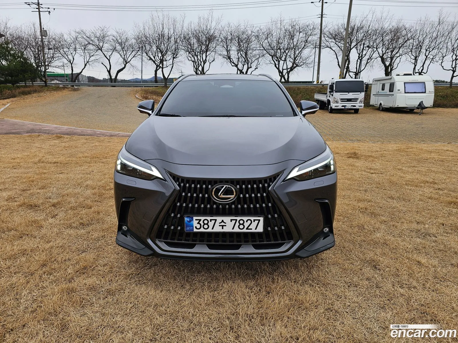 Lexus NX450h+ 2023 — 12
