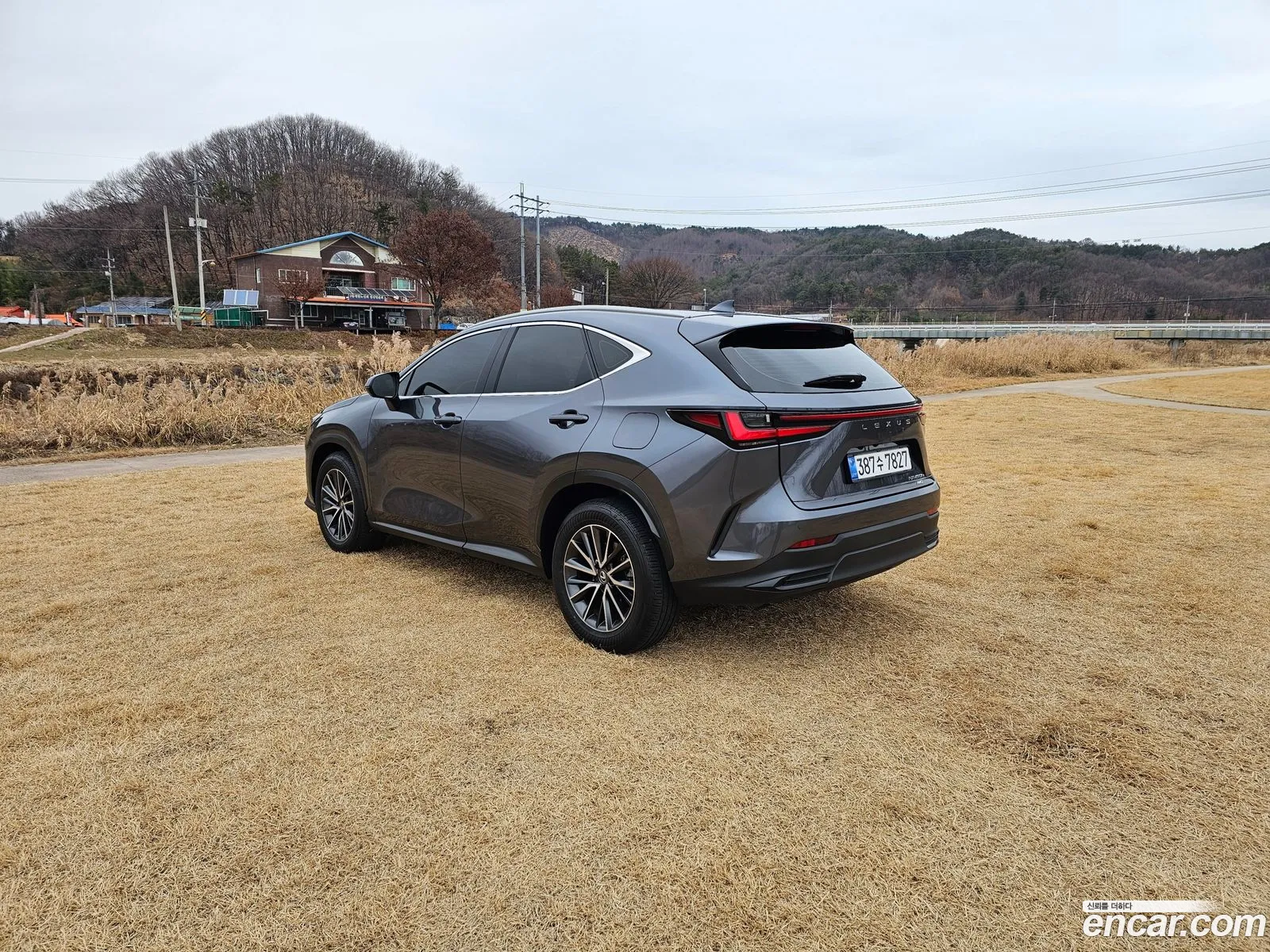 Lexus NX450h+ 2023 — 4