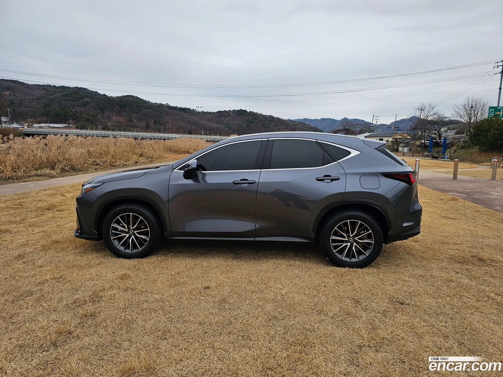 Lexus NX450h+ 2023 — 7