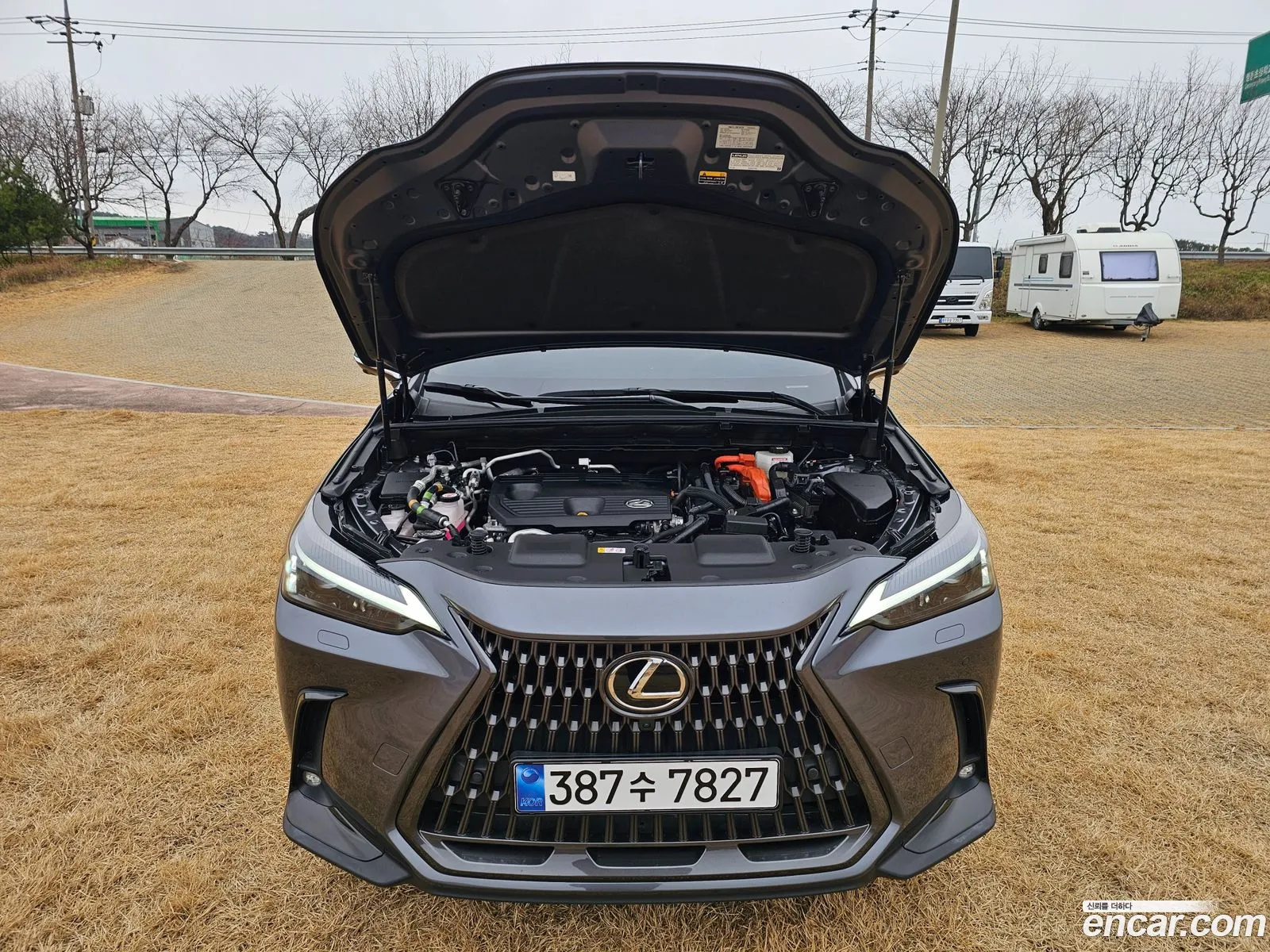 Lexus NX450h+ 2023 — 10
