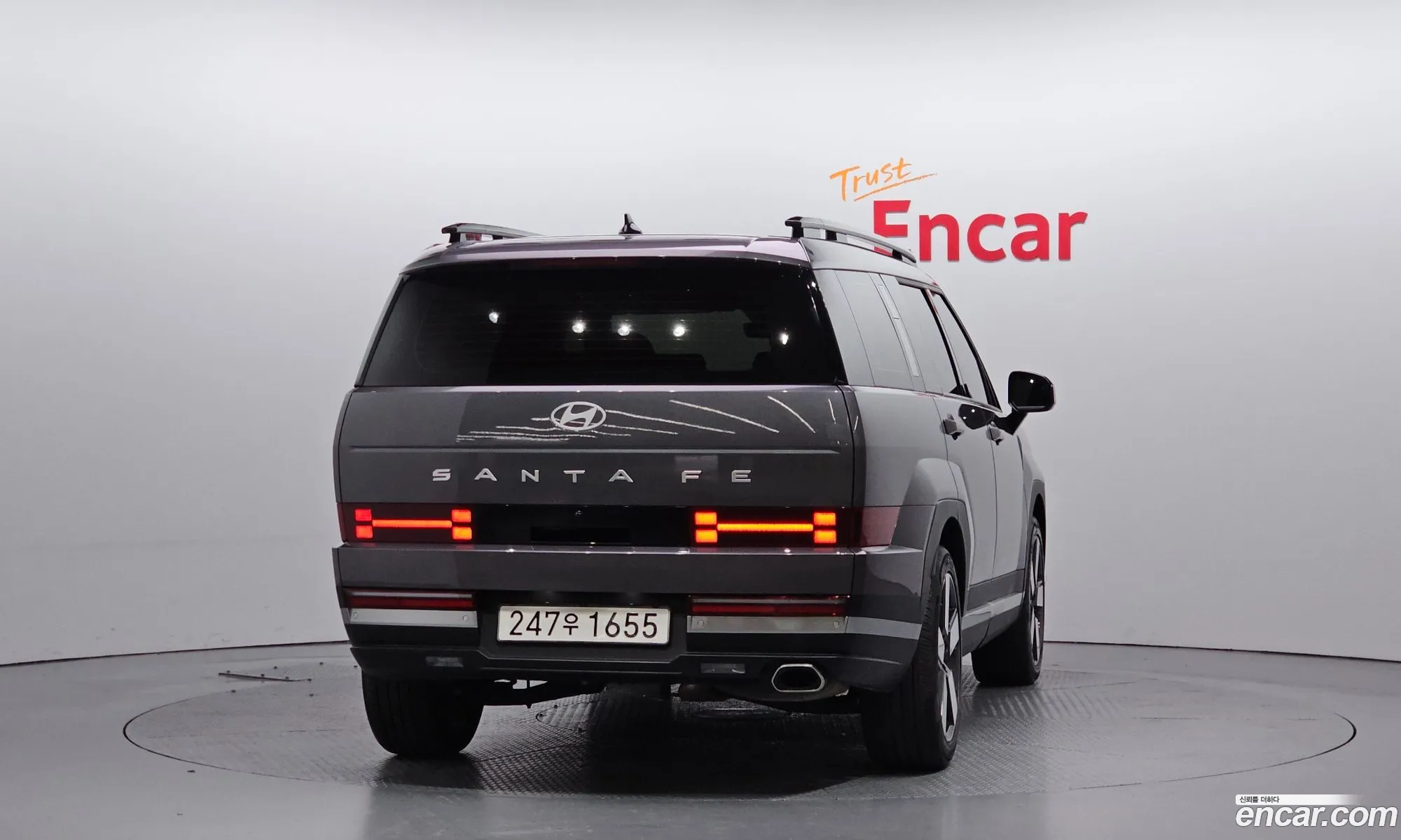 Hyundai Santa Fe 2024 — 17