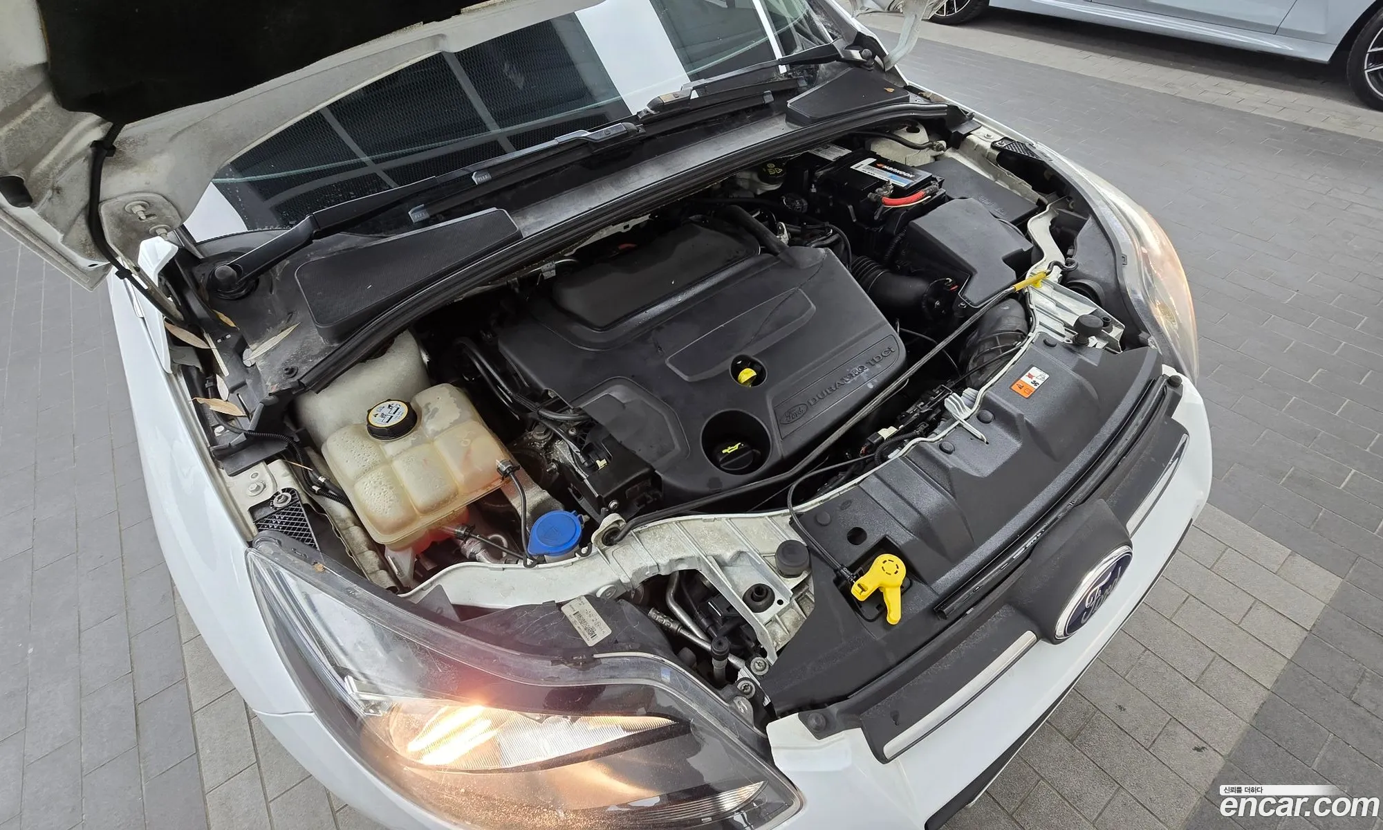 Ford Focus 2014 WF0KXXGCBEDD22690 — 13