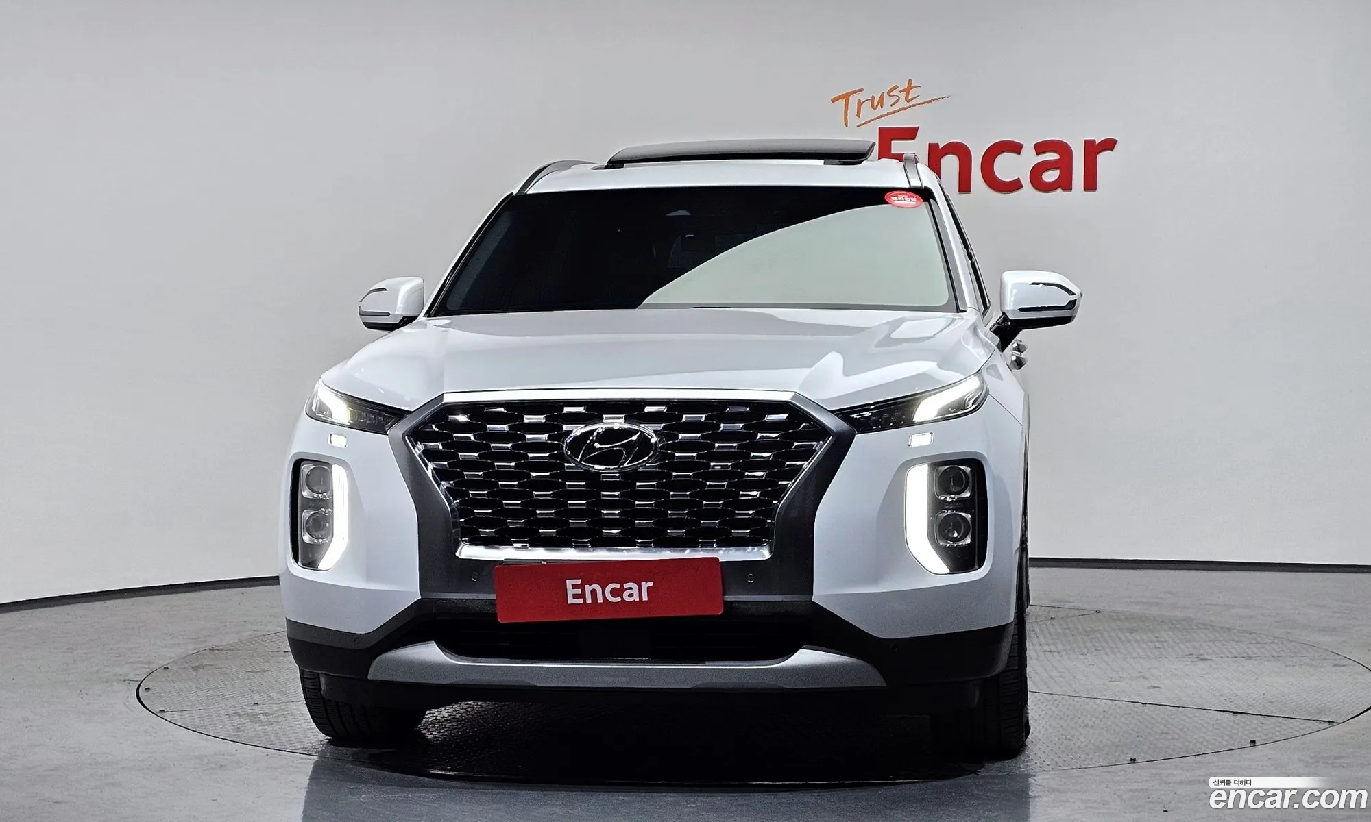 Hyundai Palisade 2021 — 20