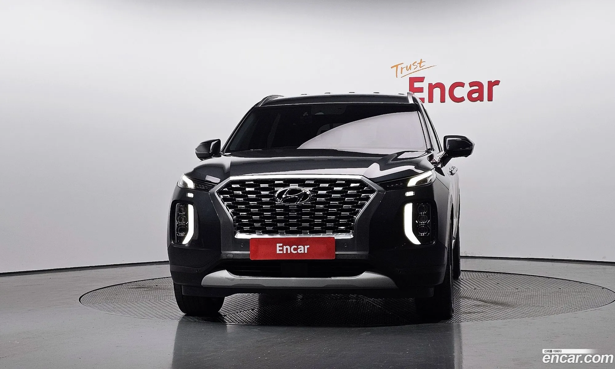Hyundai Palisade 2019 — 3