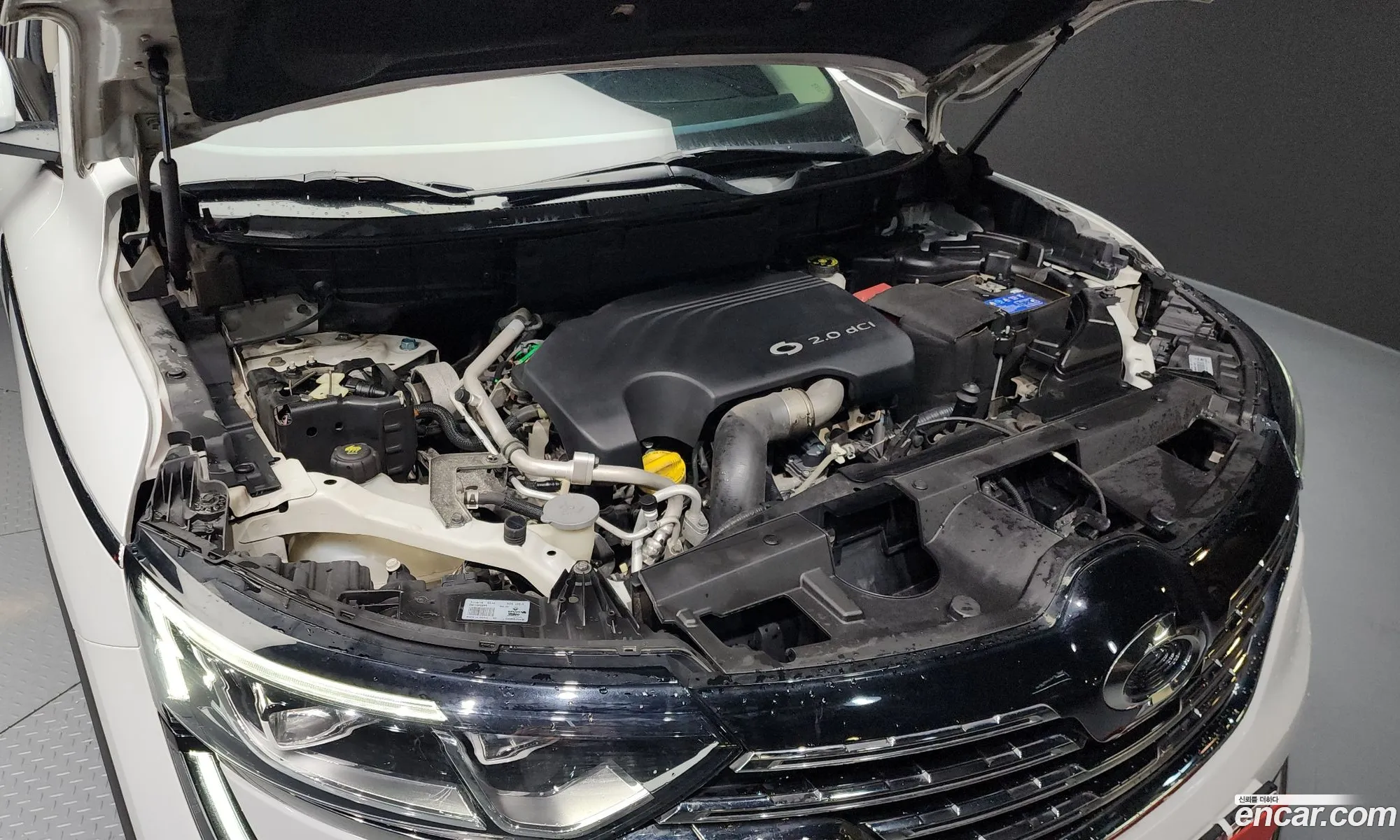 Renault Korea (Samsung) QM6 2017 — 14