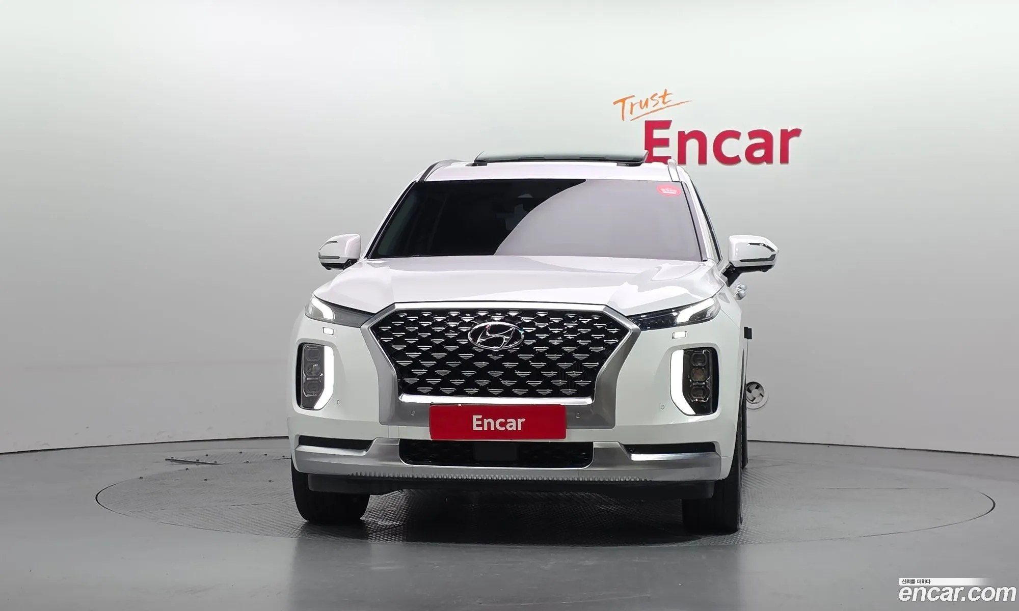 Hyundai Palisade 2021 — 9