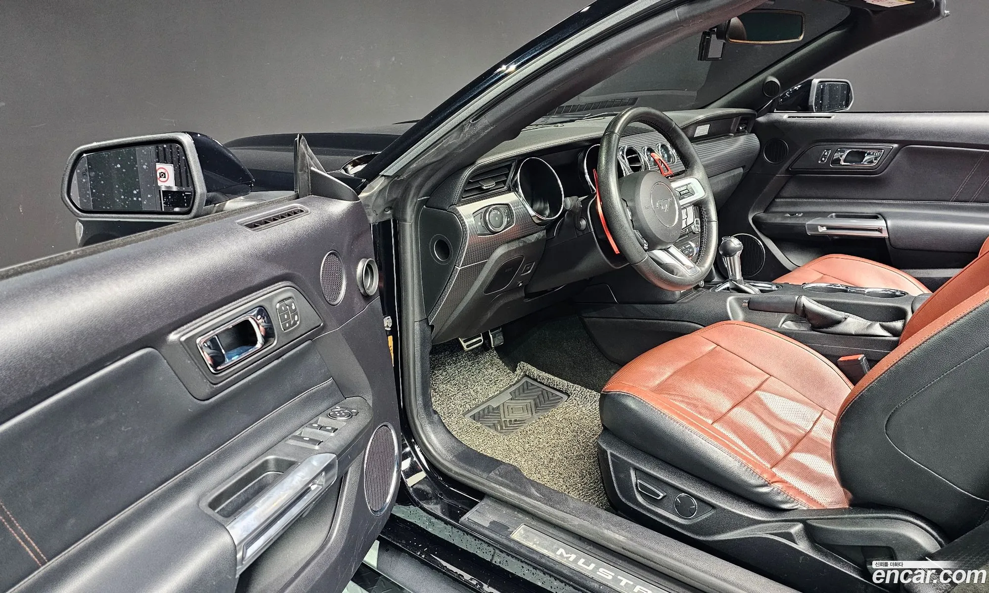 Ford Mustang 2017 — 19