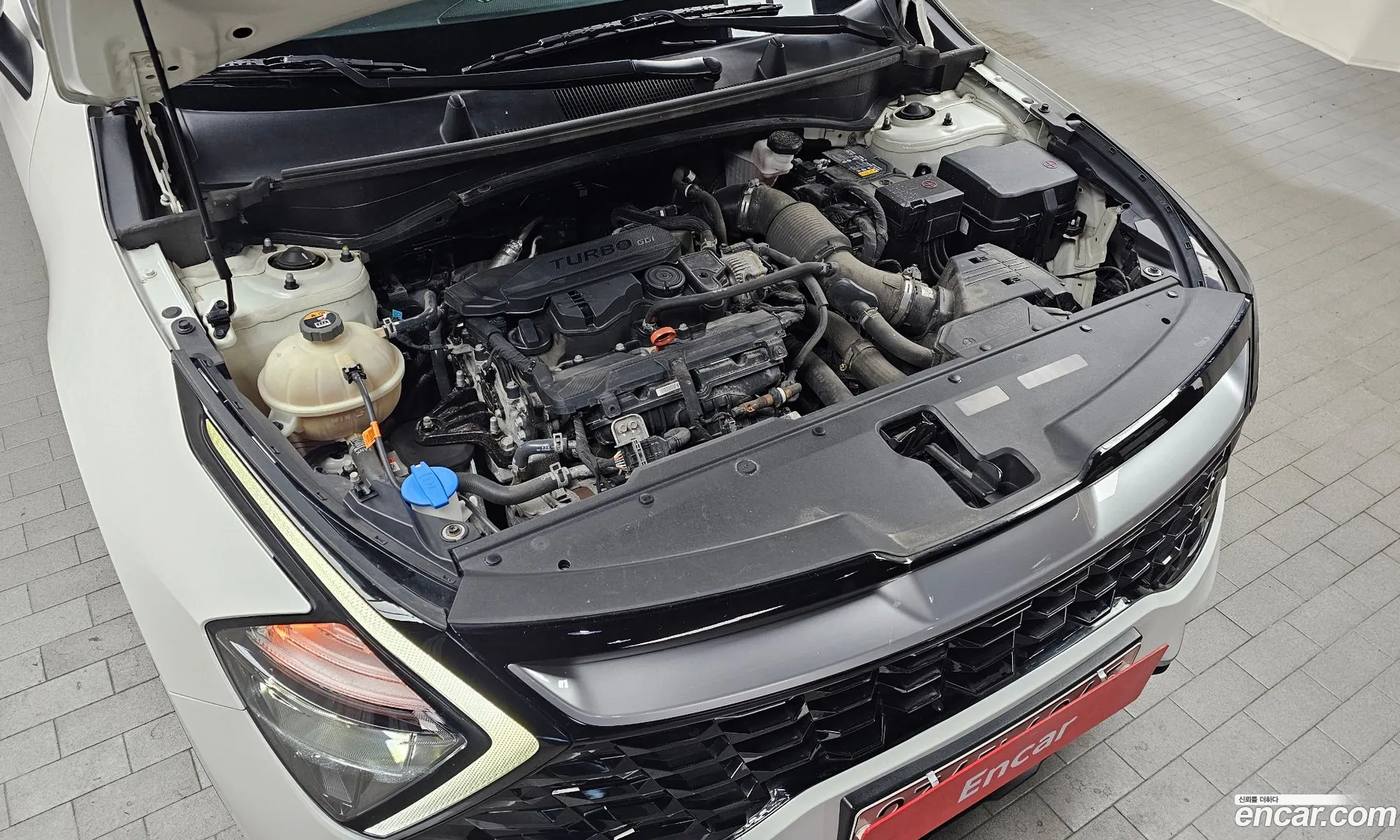 Kia Sportage 2022 — 5