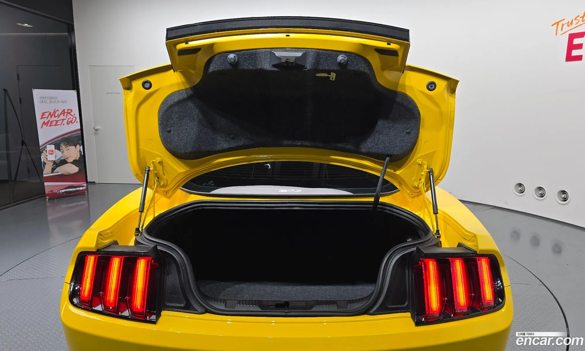 Ford Mustang 2016 1FA6P8TH0H5207451 — 3