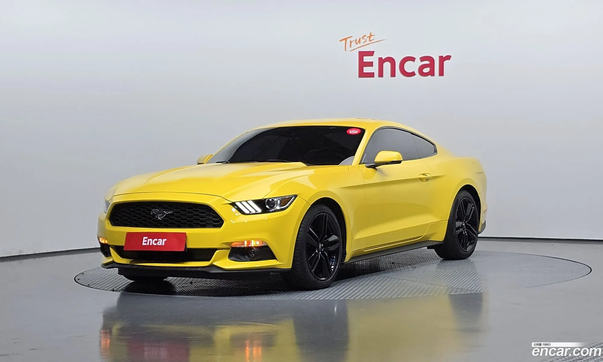 Ford Mustang 2016 1FA6P8TH0H5207451 — 5