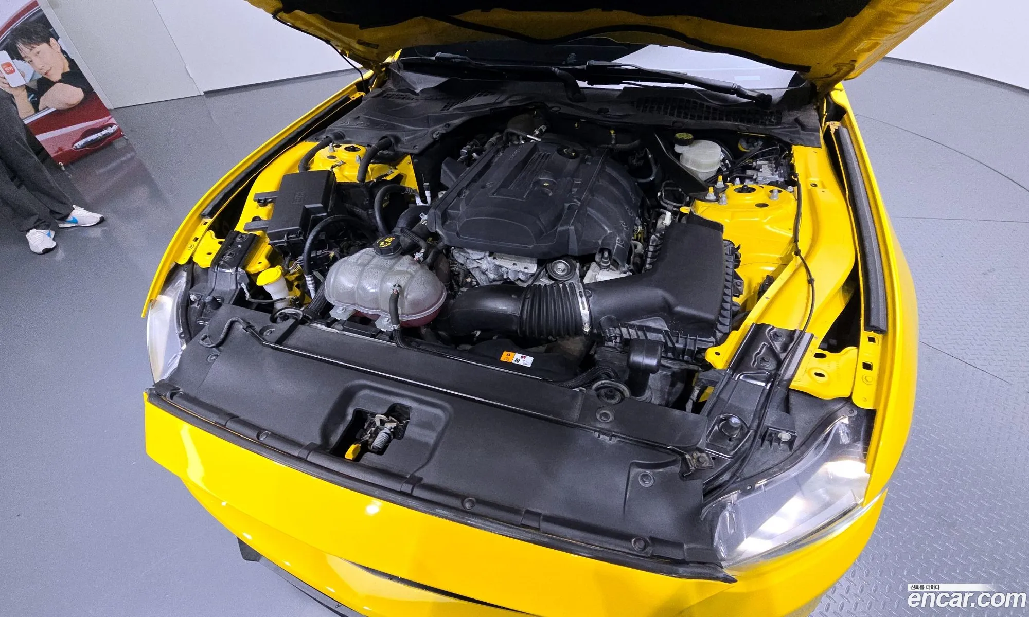 Ford Mustang 2016 1FA6P8TH0H5207451 — 8