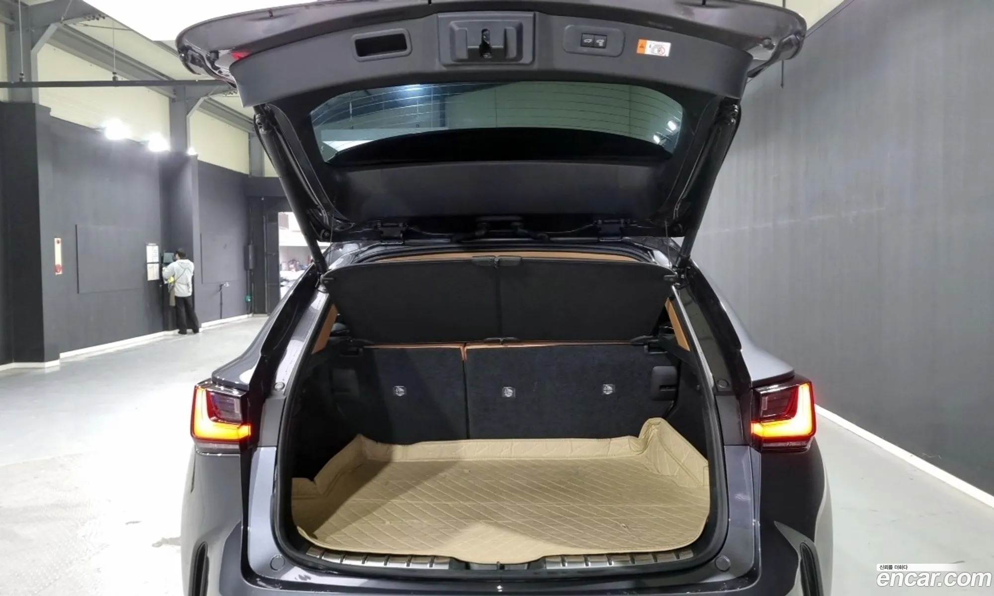 Lexus NX350h 2023 — 8