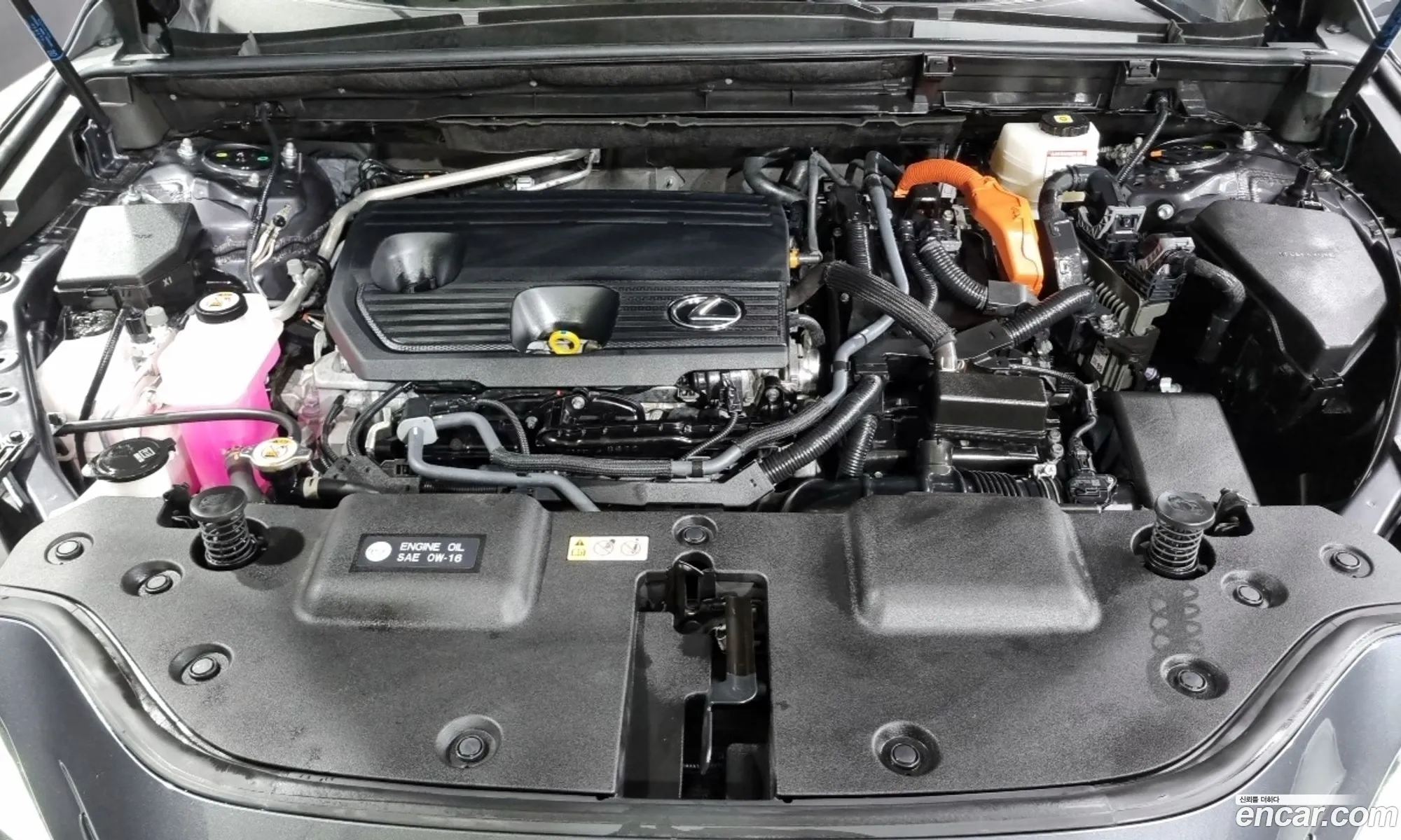 Lexus NX350h 2023 — 7