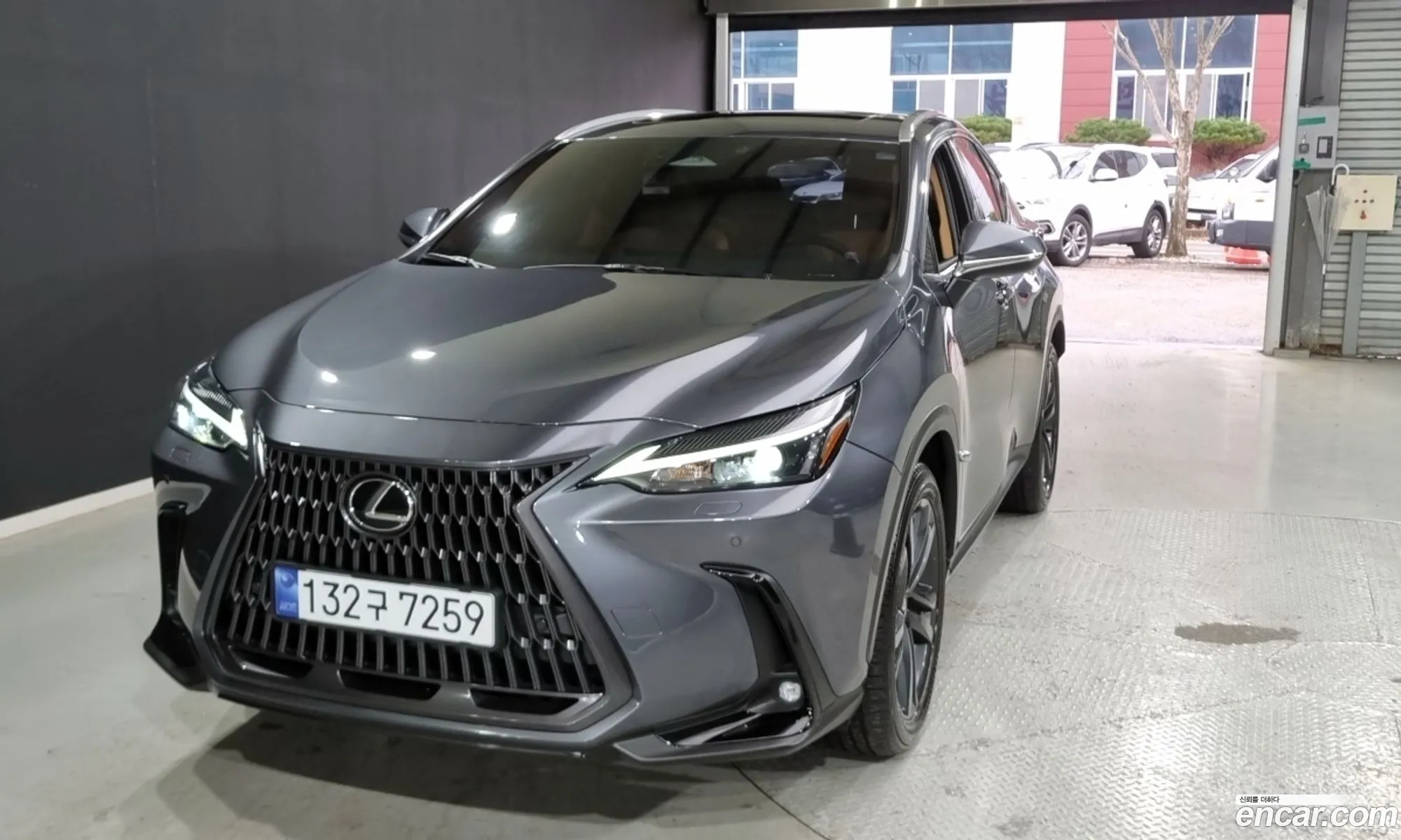 Lexus NX350h 2023 — 5