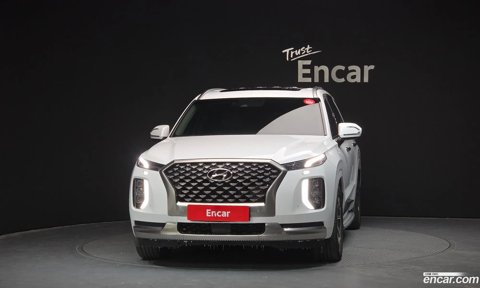 Hyundai Palisade 2021 — 15