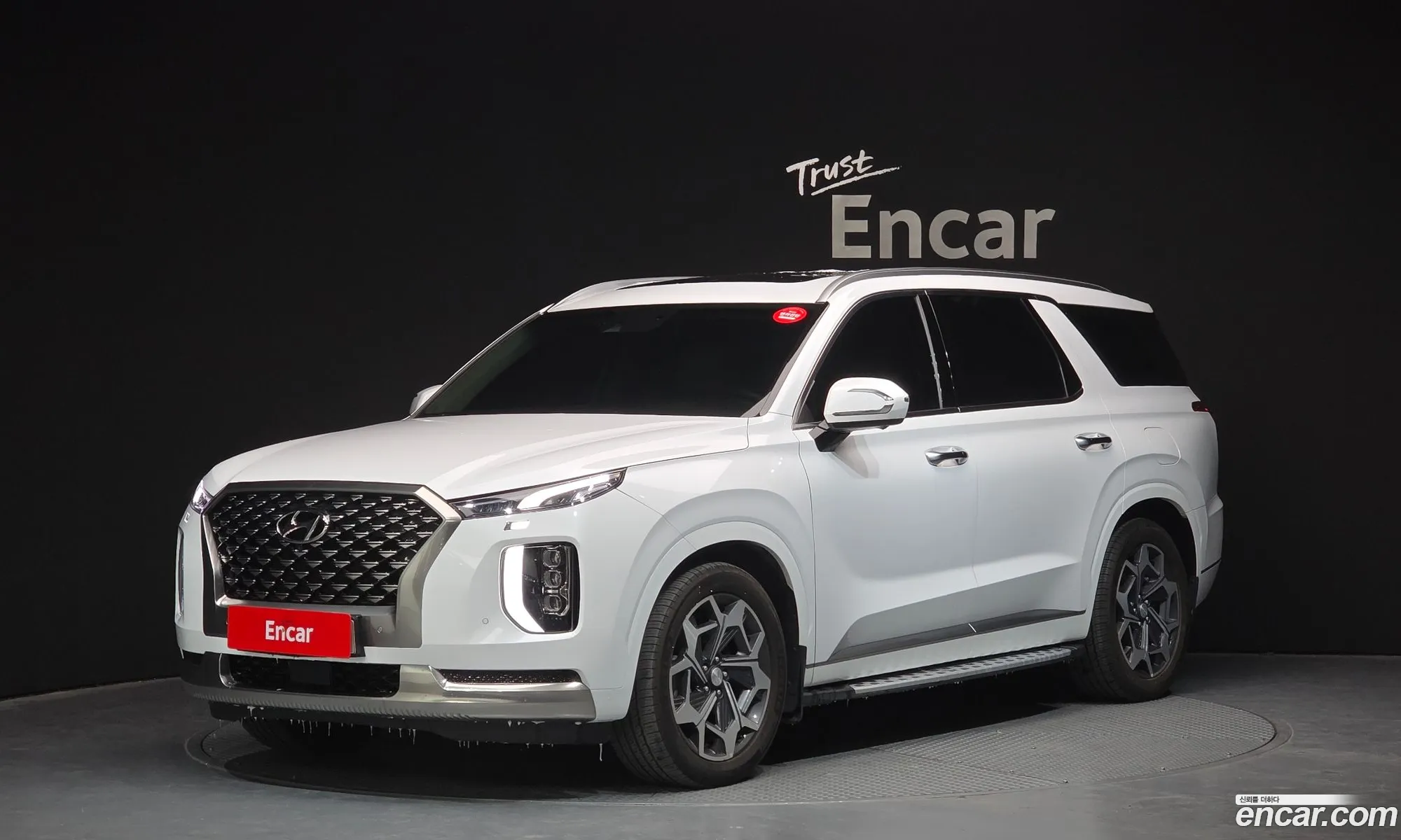 Hyundai Palisade 2021 — 10