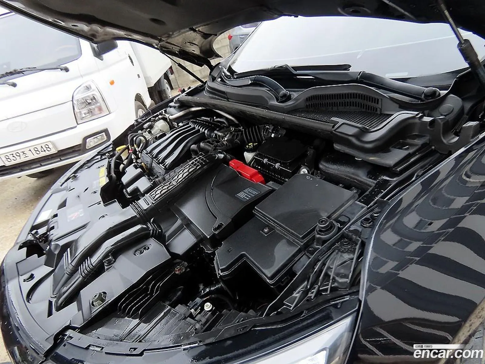 Renault Korea (Samsung) SM6 2017 — 13