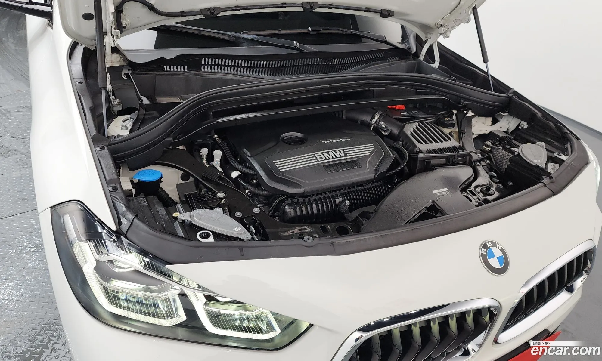 BMW X2 2023 WBA11DF00P5X99059 — 6