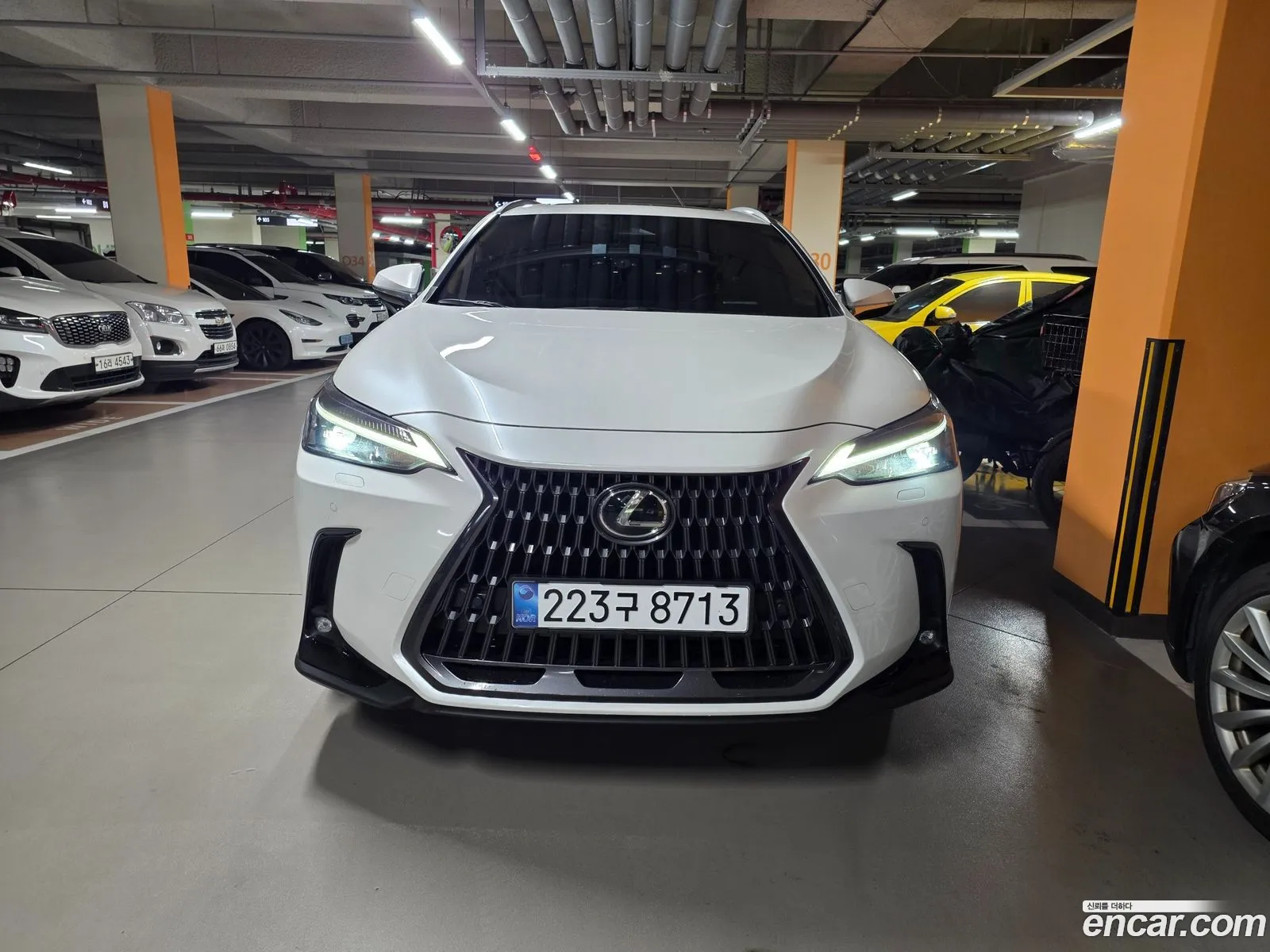 Lexus NX350h 2024 — 8