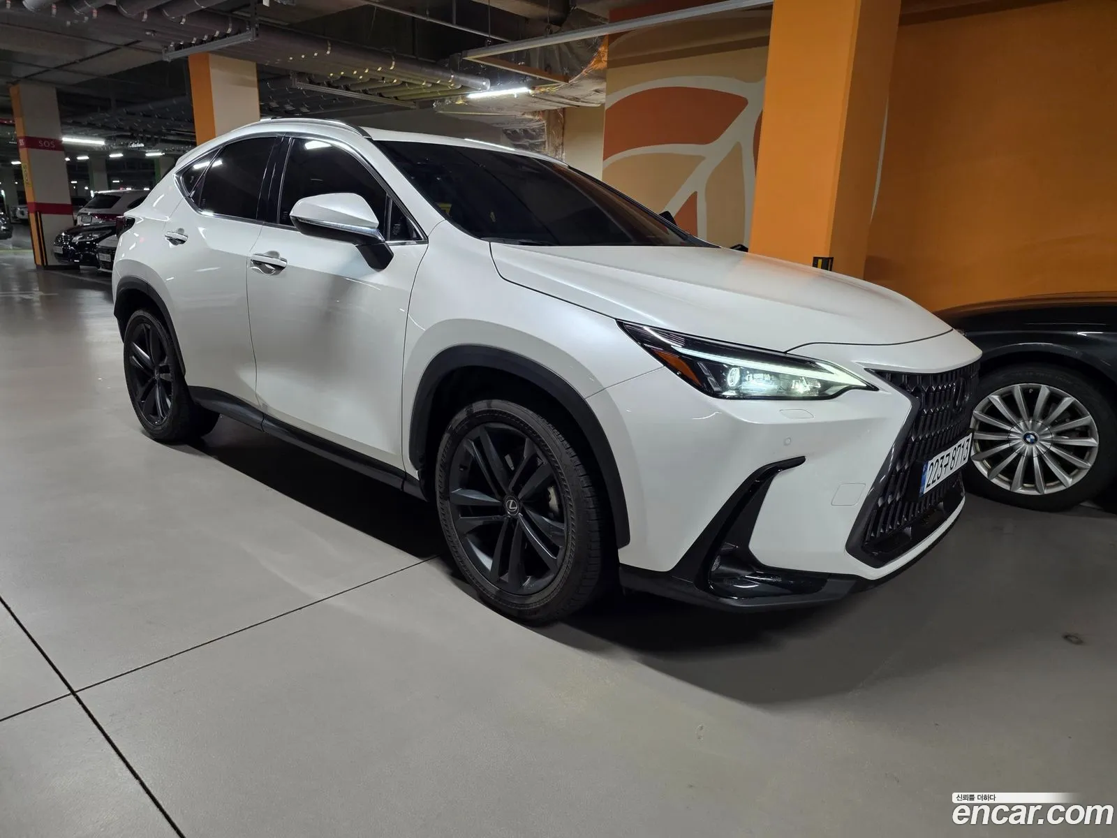 Lexus NX350h 2024 — 6