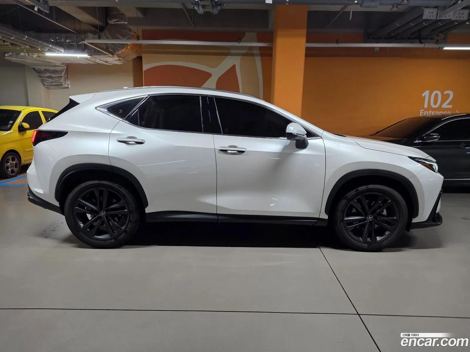 Lexus NX350h 2024 — 14