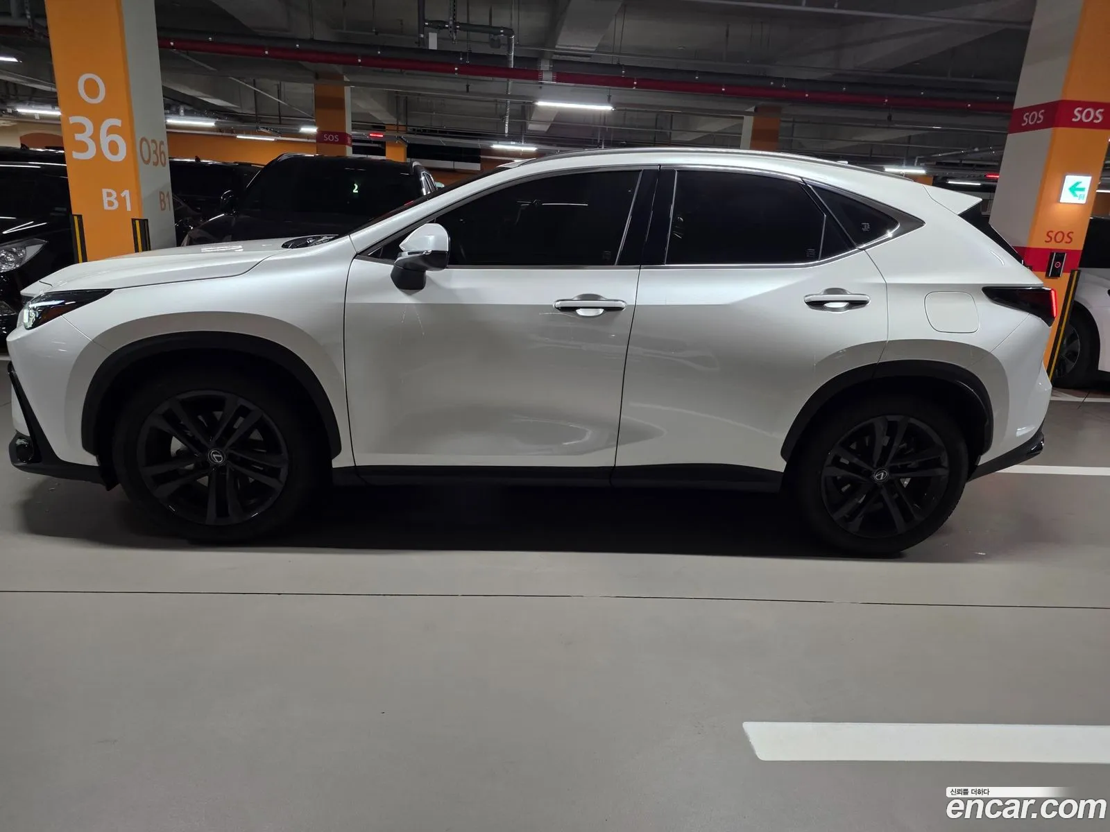 Lexus NX350h 2024 — 4