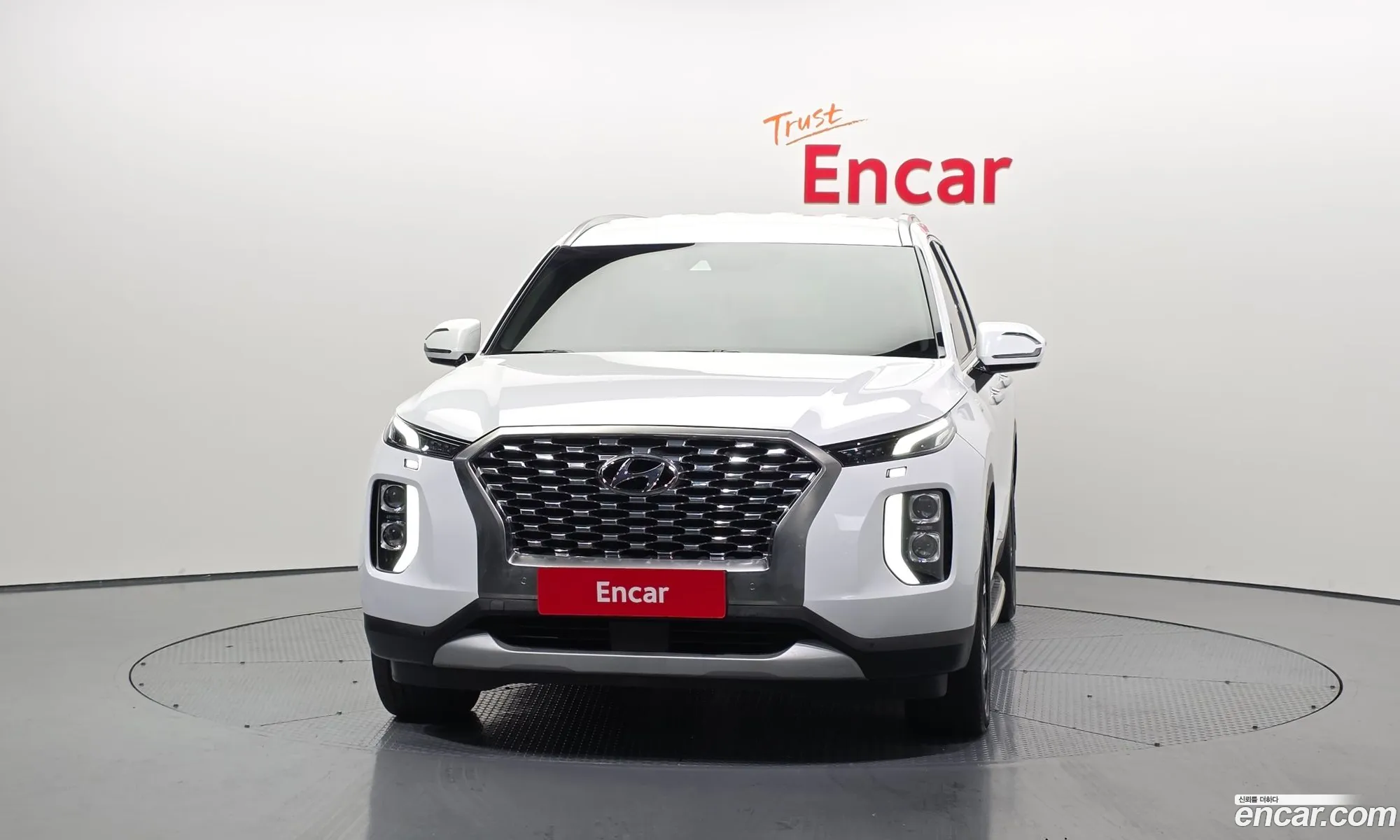 Hyundai Palisade 2021 — 19