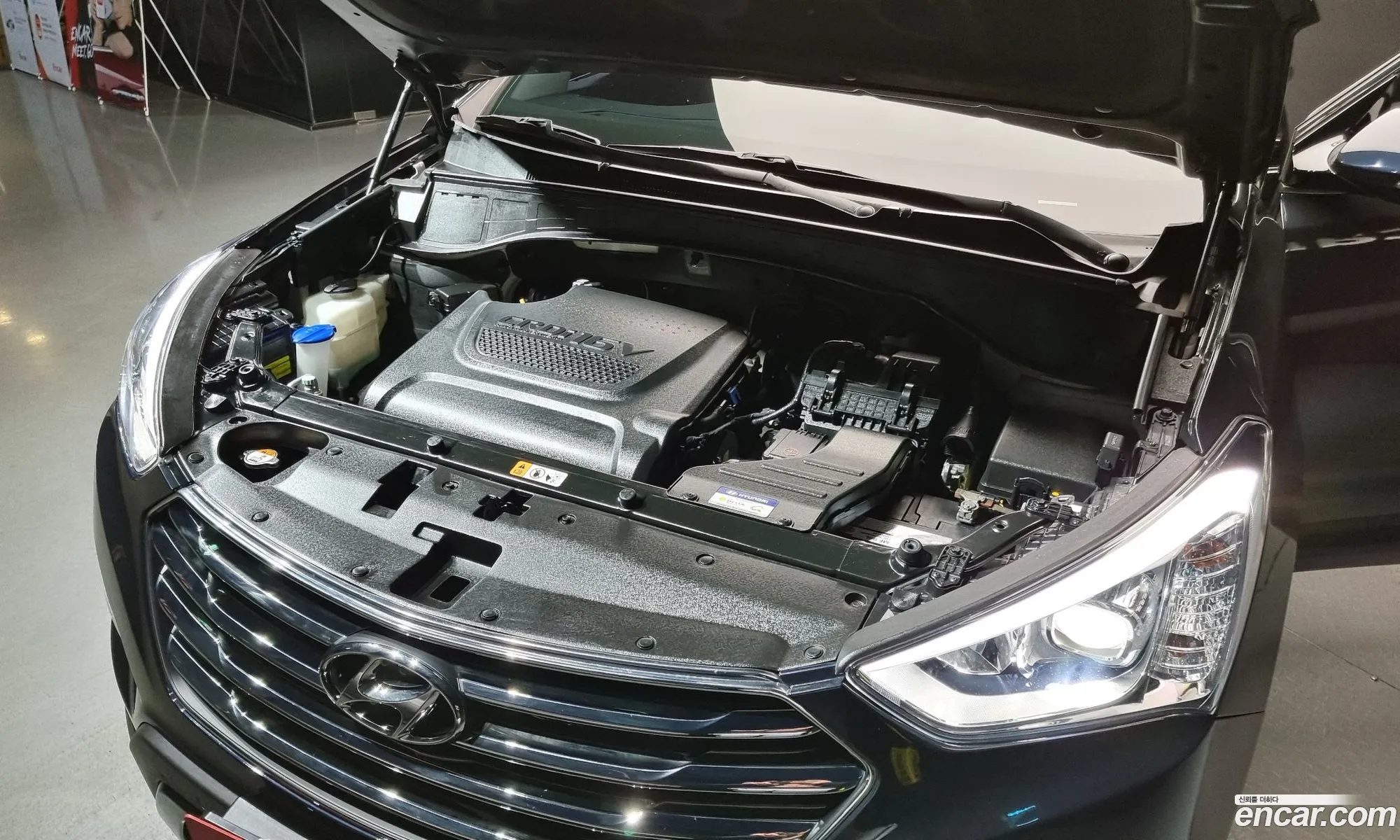 Hyundai Maxcruz 2014 — 18
