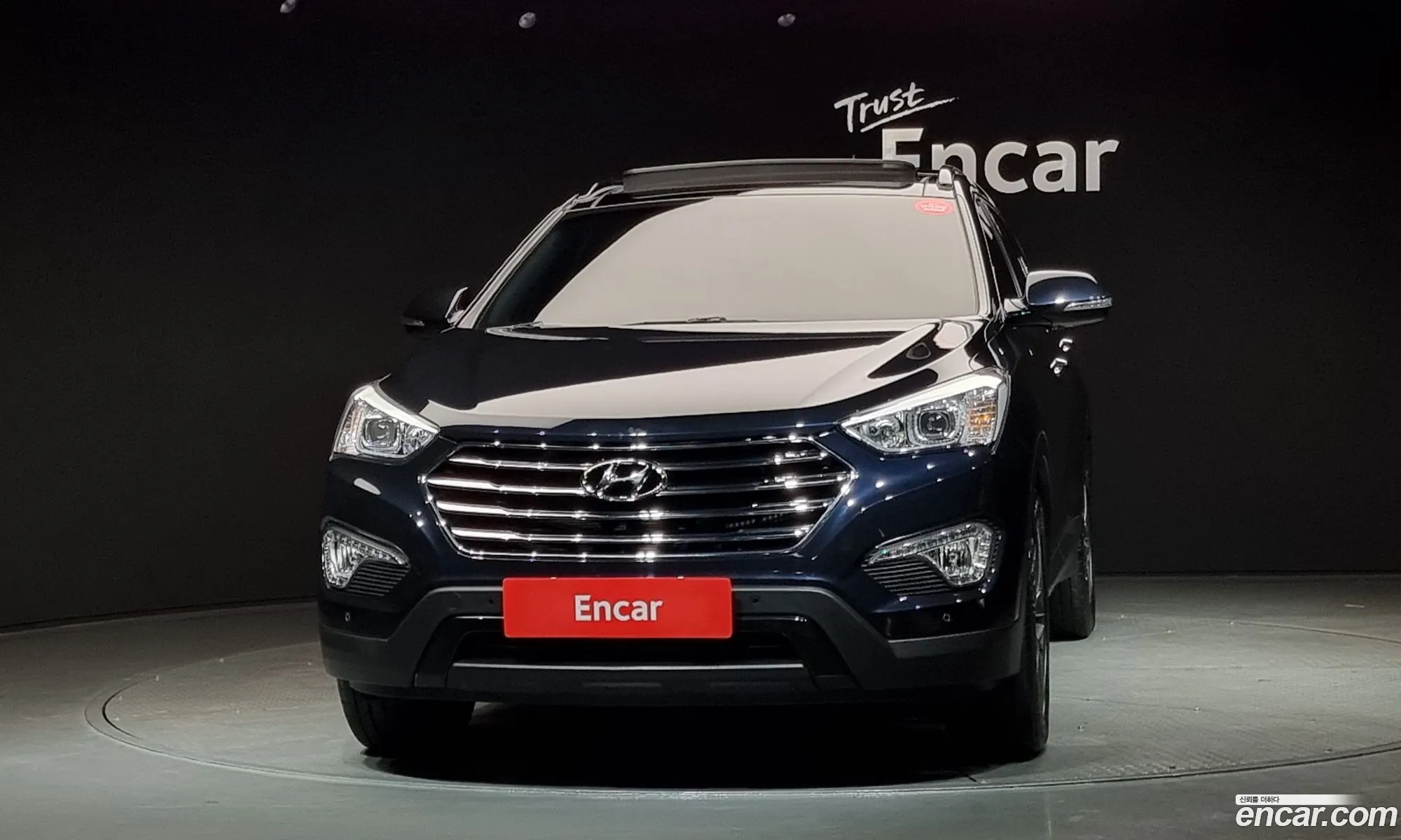Hyundai Maxcruz 2014 — 13
