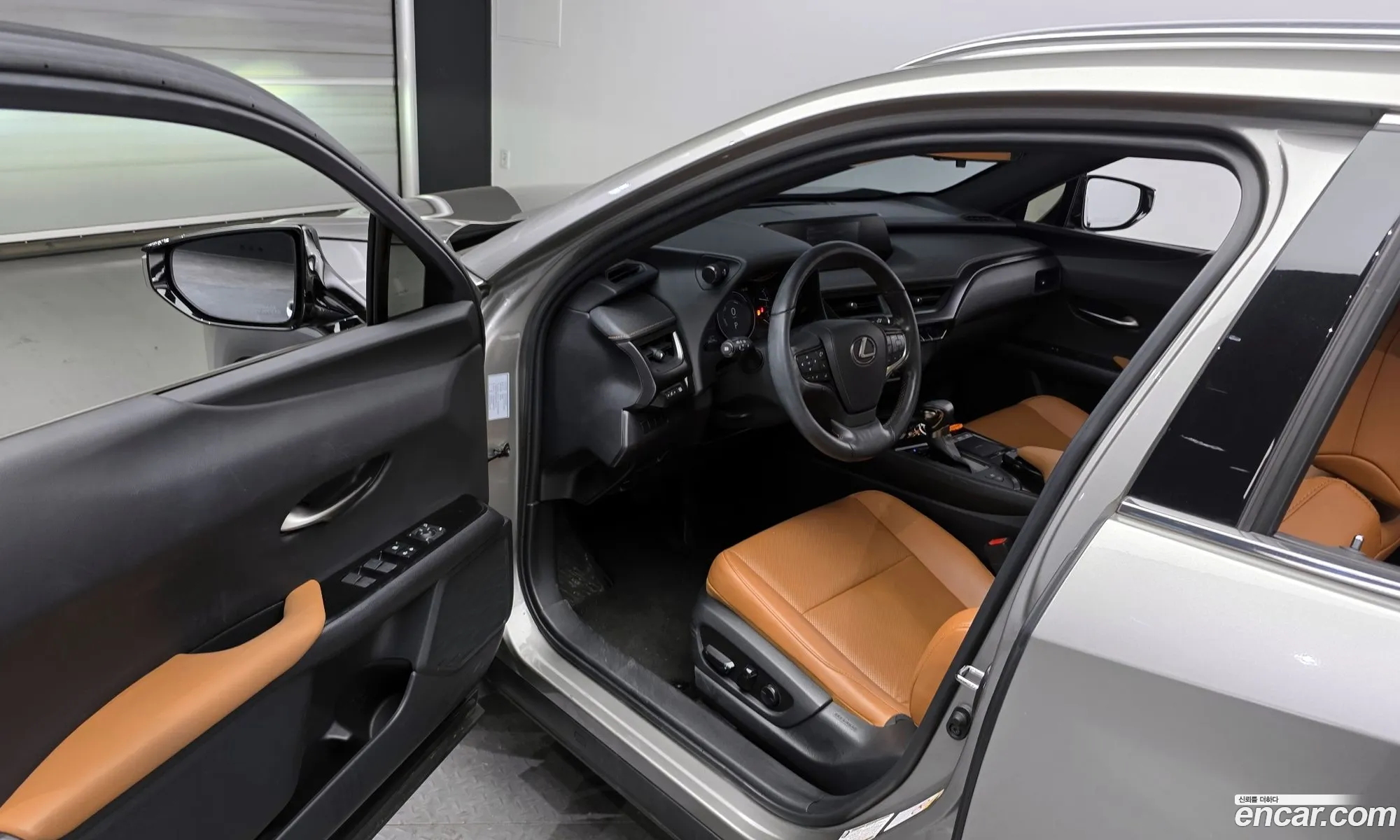 Lexus UX250h 2019 — 12