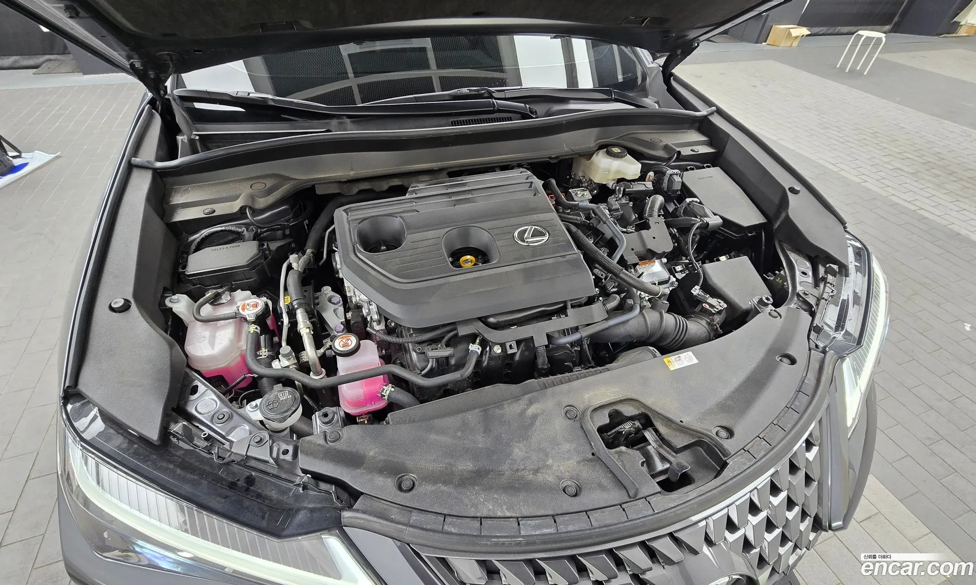 Lexus UX300h 2024 JTHYBJAH1S2011974 — 4