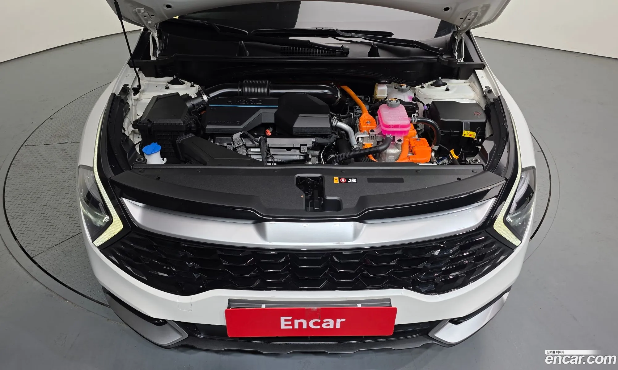 Kia Sportage Hybrid 2024 — 7