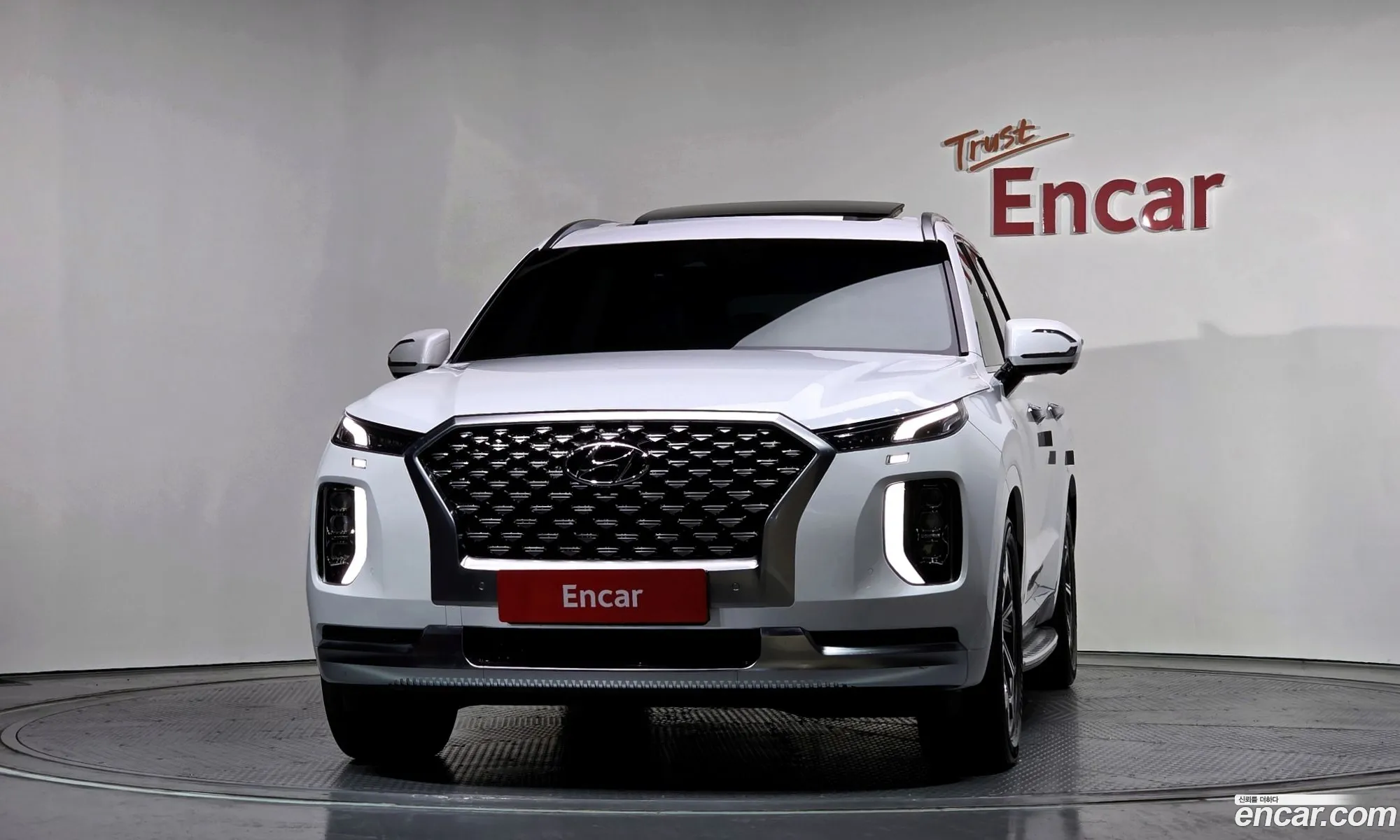 Hyundai Palisade 2021 — 12