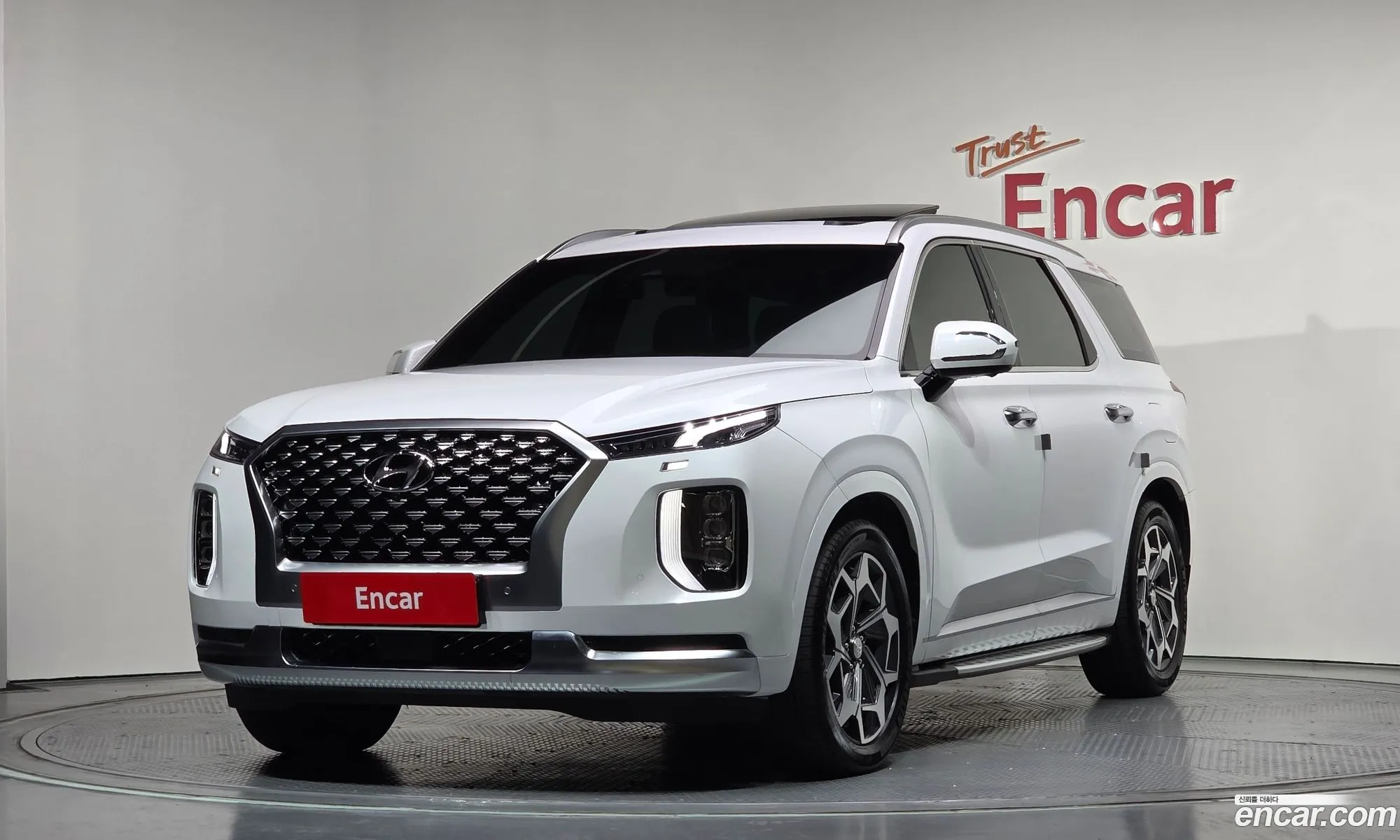 Hyundai Palisade 2021 — 17