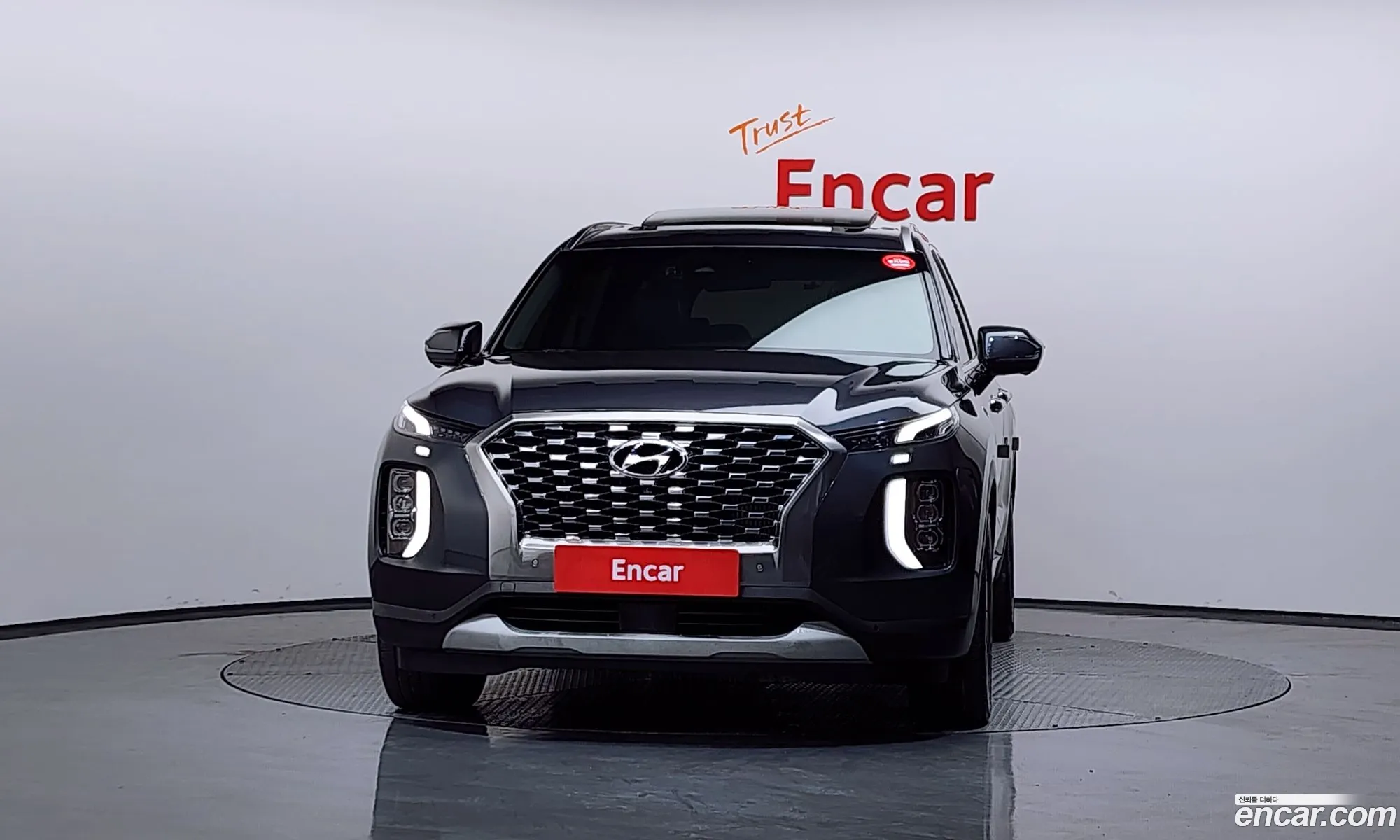 Hyundai Palisade 2021 — 13