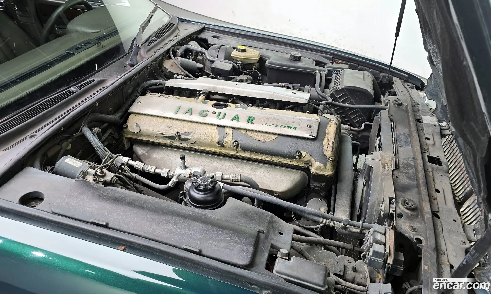 Jaguar XJ6 1996 SAJJFALG4TJ768226 — 15