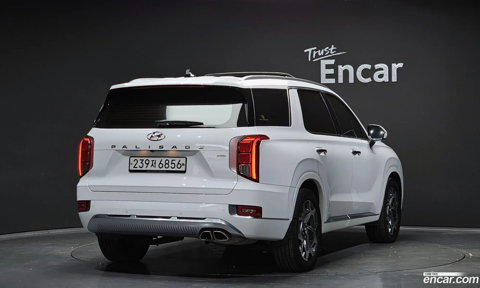 Hyundai Palisade 2020 — 6