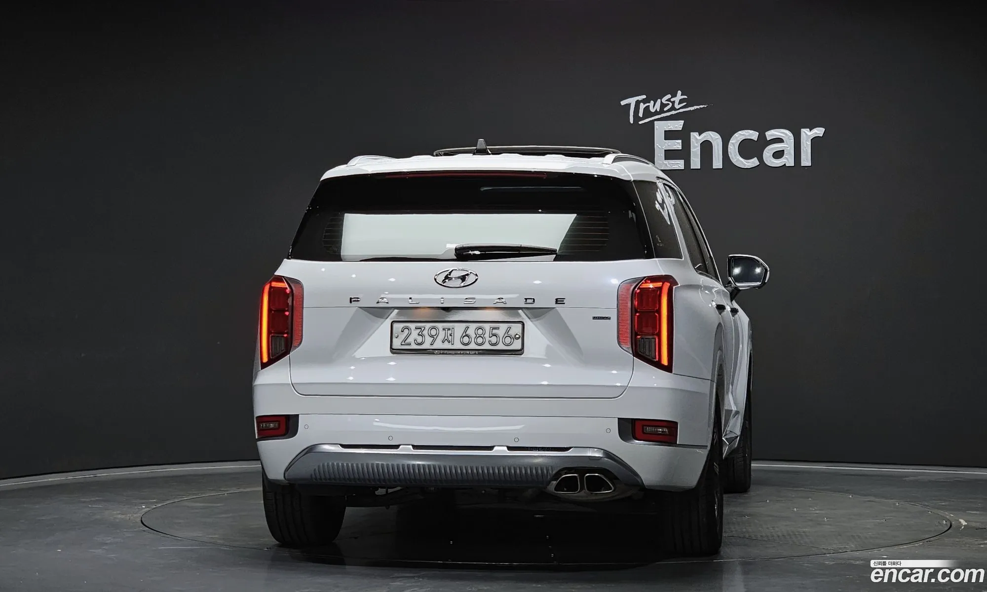 Hyundai Palisade 2020 — 19