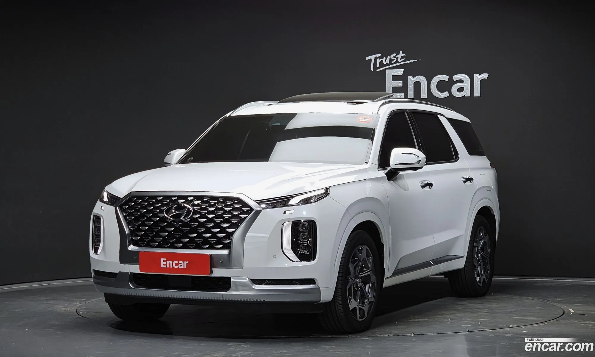 Hyundai Palisade 2020 — 8