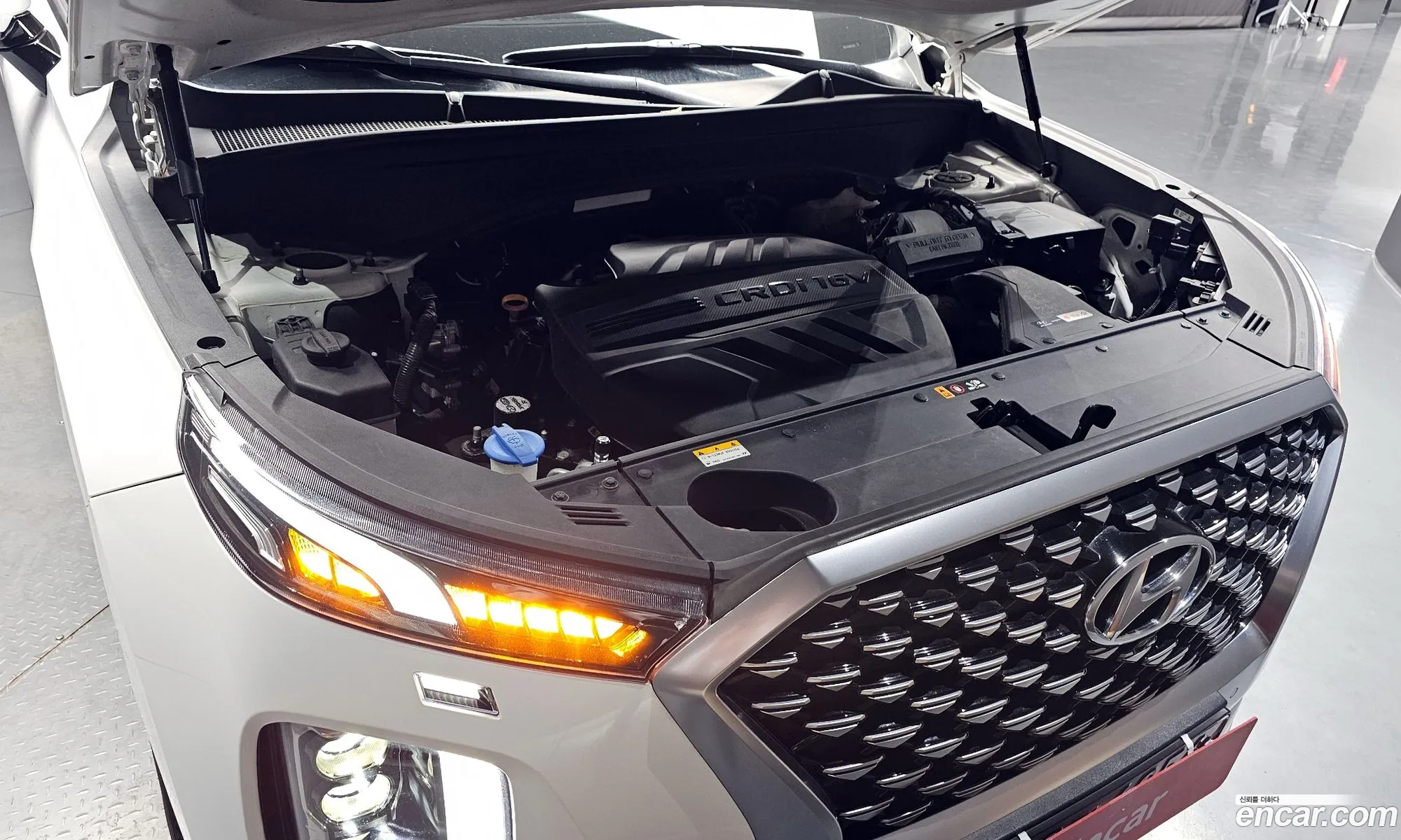 Hyundai Palisade 2020 — 11