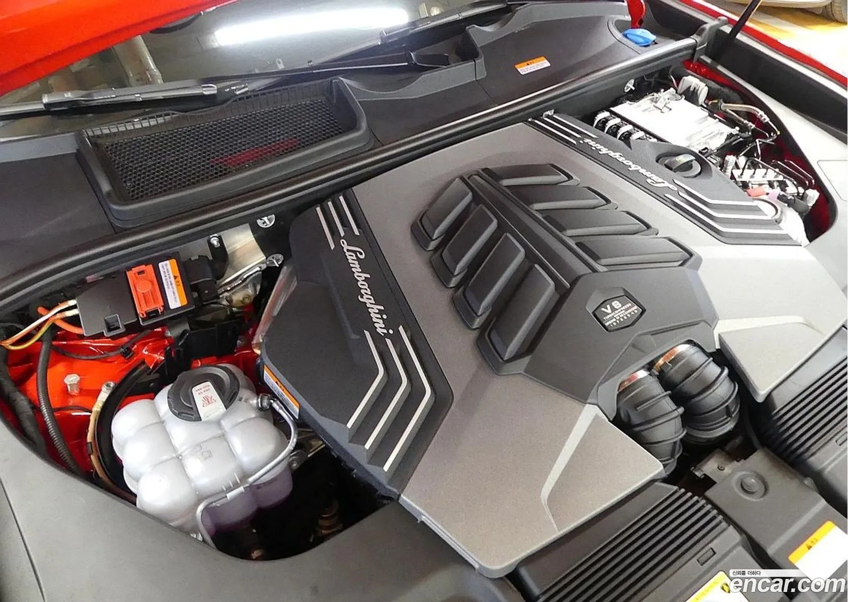 Lamborghini Urus 2025 — 19