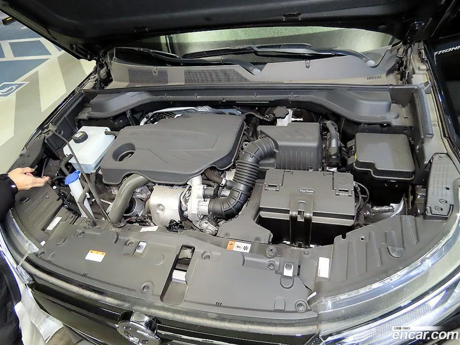 KG Mobility (SsangYong) Beautiful Korando 2024 — 11