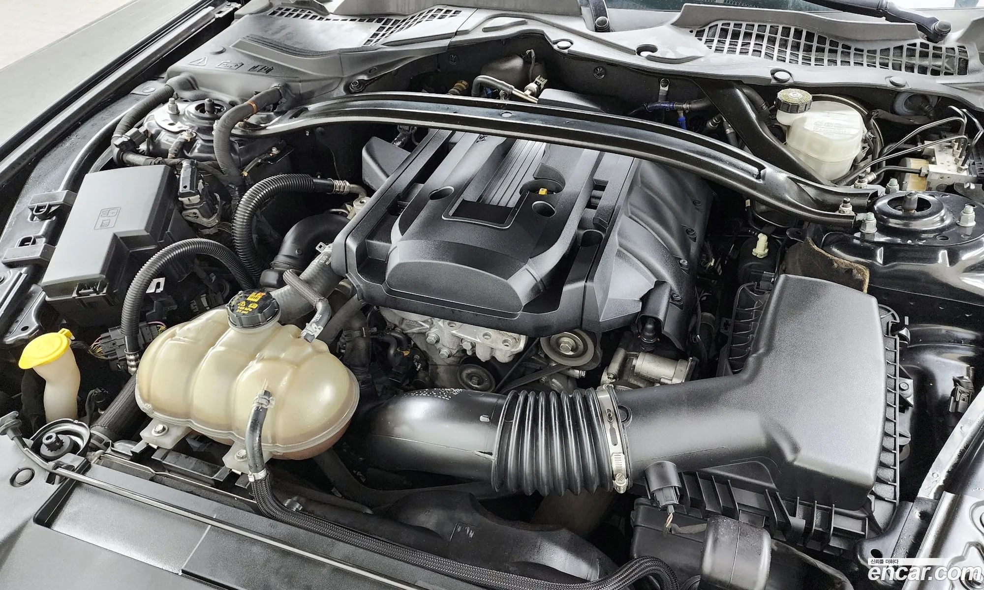 Ford Mustang 2018 1FA6P8TH2J5141152 — 3