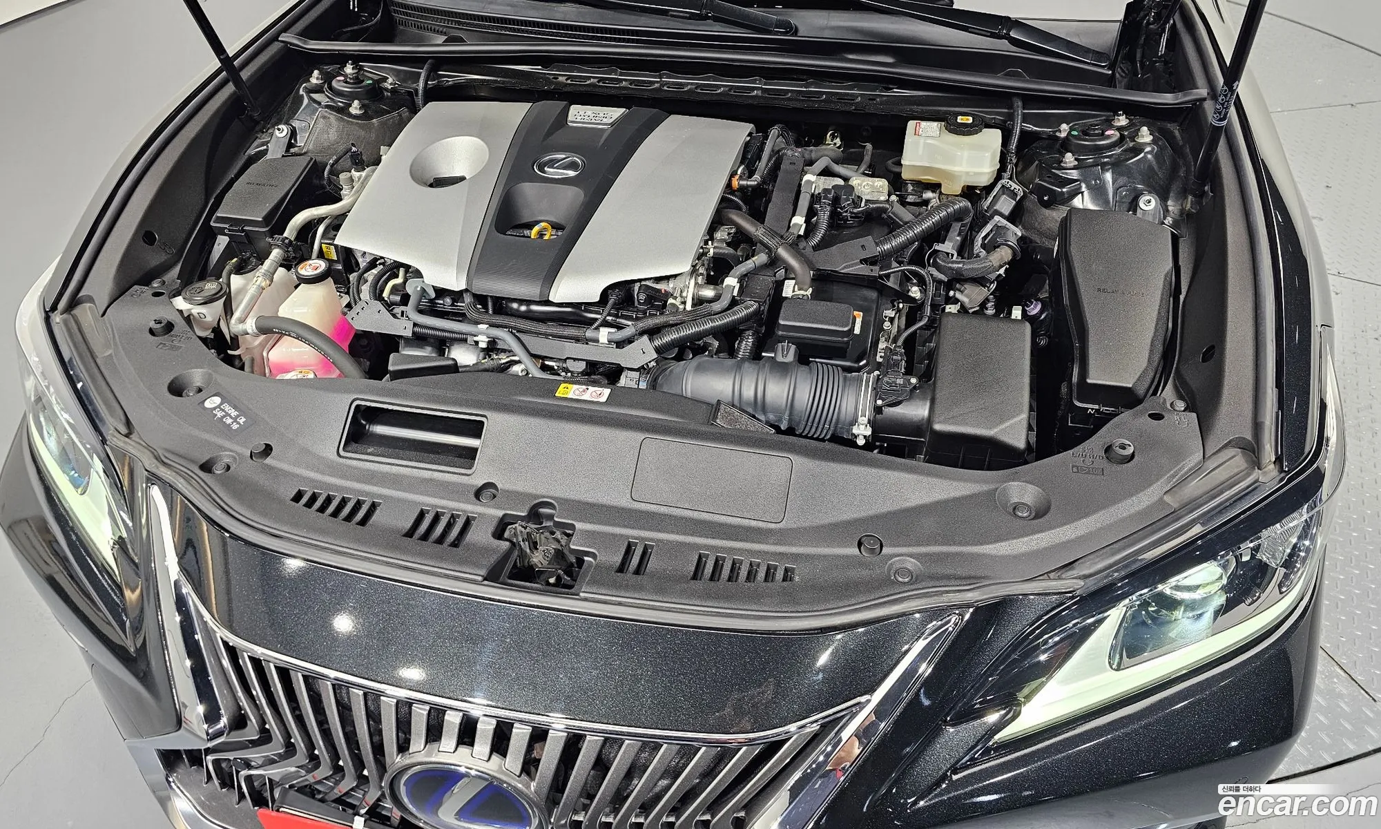Lexus ES300h 7th Gen 2020 — 10