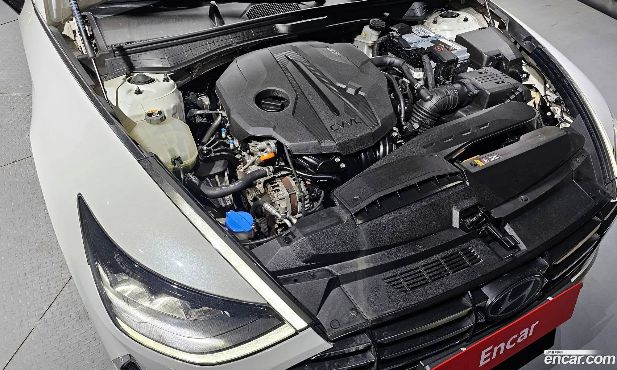 Hyundai Sonata 2019 KMHL141EBLA034394 — 11