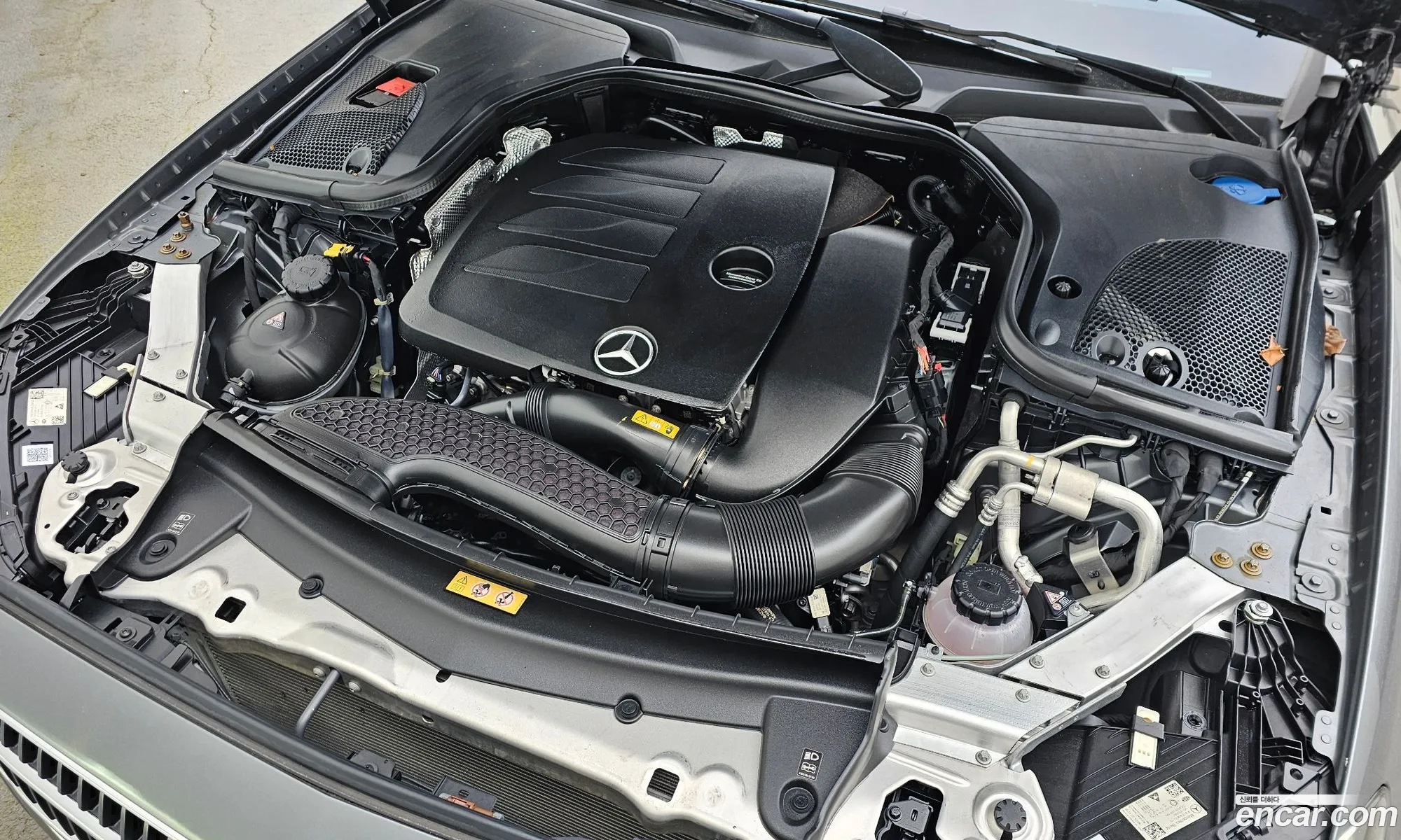 Mercedes-Benz E-Class W213 2021 W1KZF8GB1MA926344 — 2