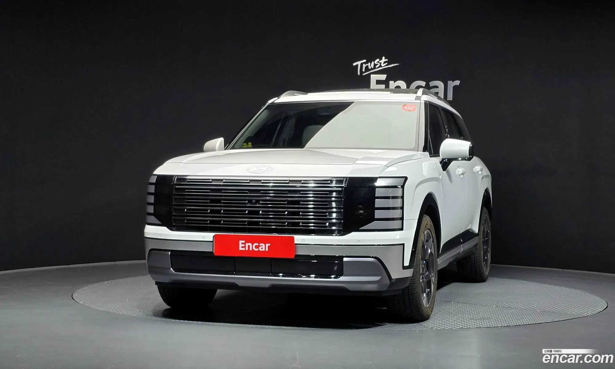 Hyundai Palisade 2025 — 15