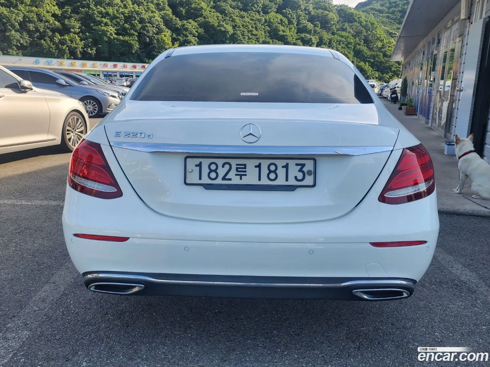 Mercedes-Benz E-Class W212 2016 — 9