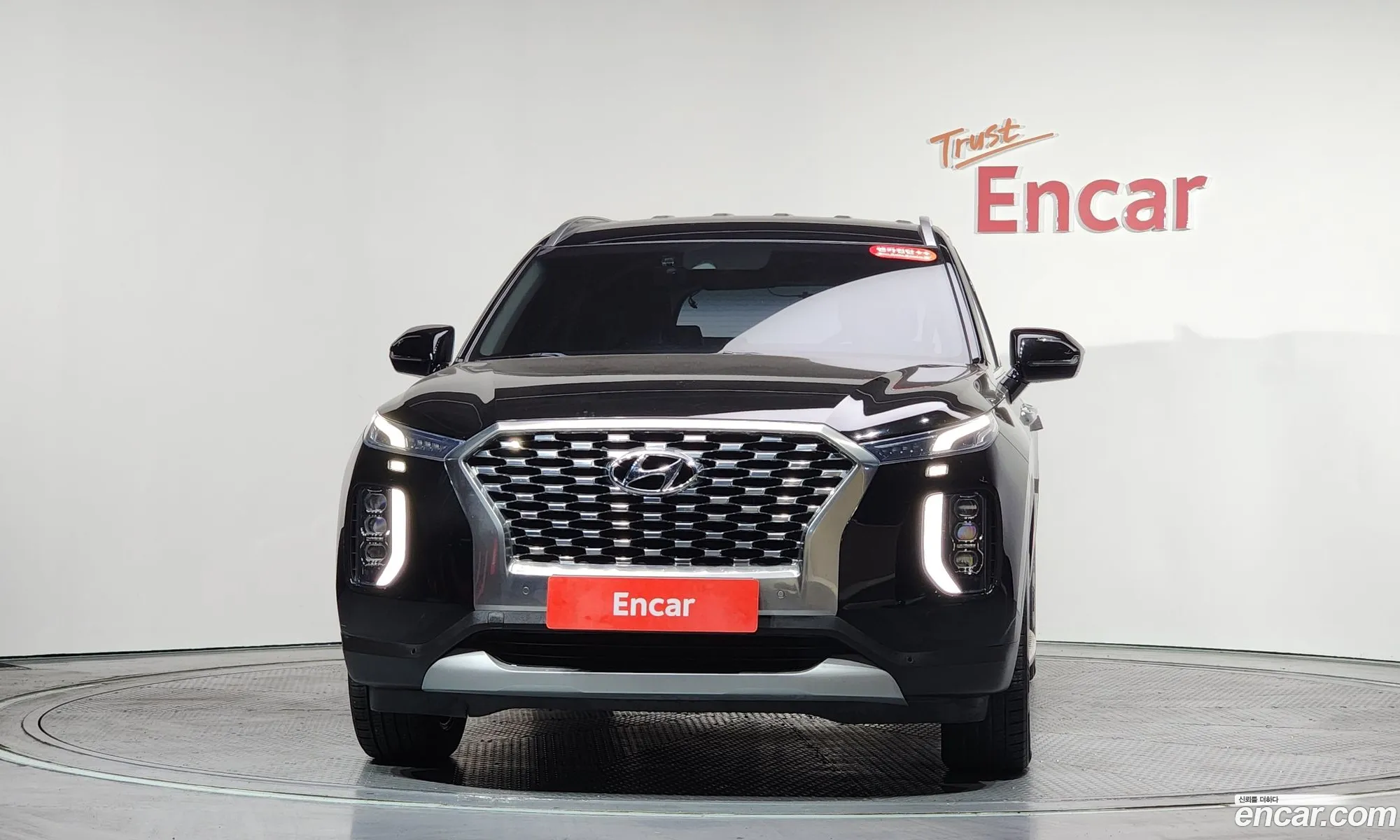 Hyundai Palisade 2019 — 6