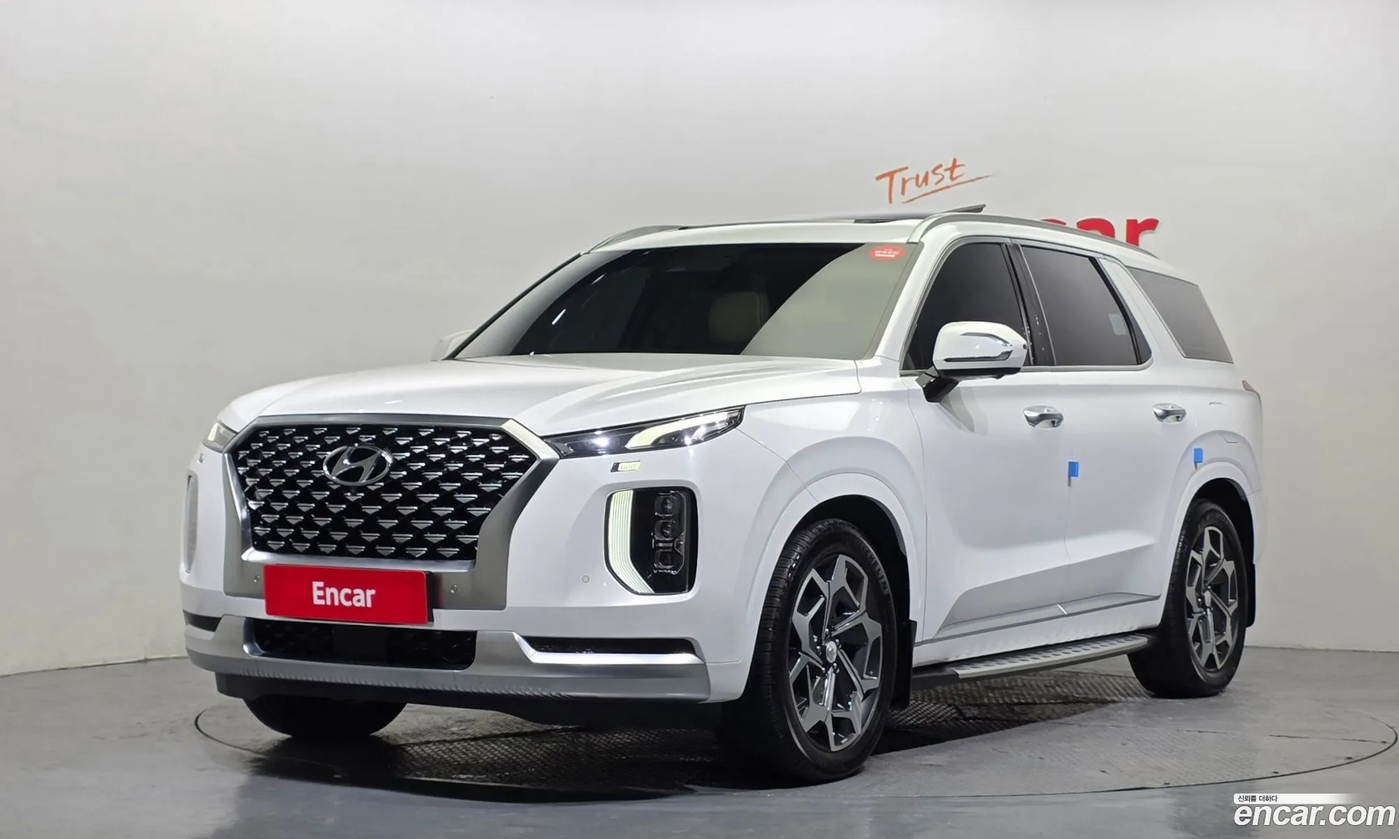 Hyundai Palisade 2020 — 12